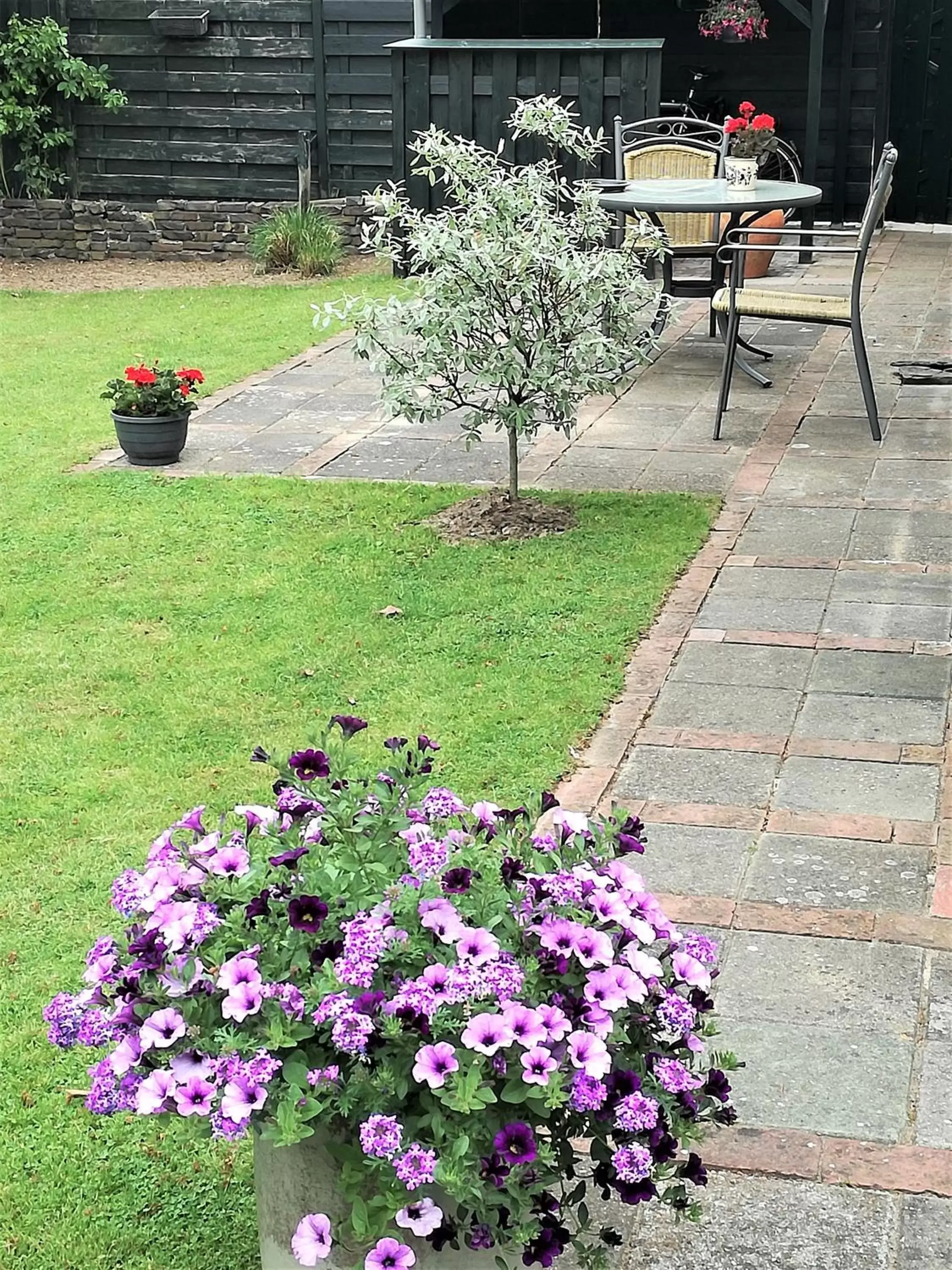 People, Garden in B&B De Ark