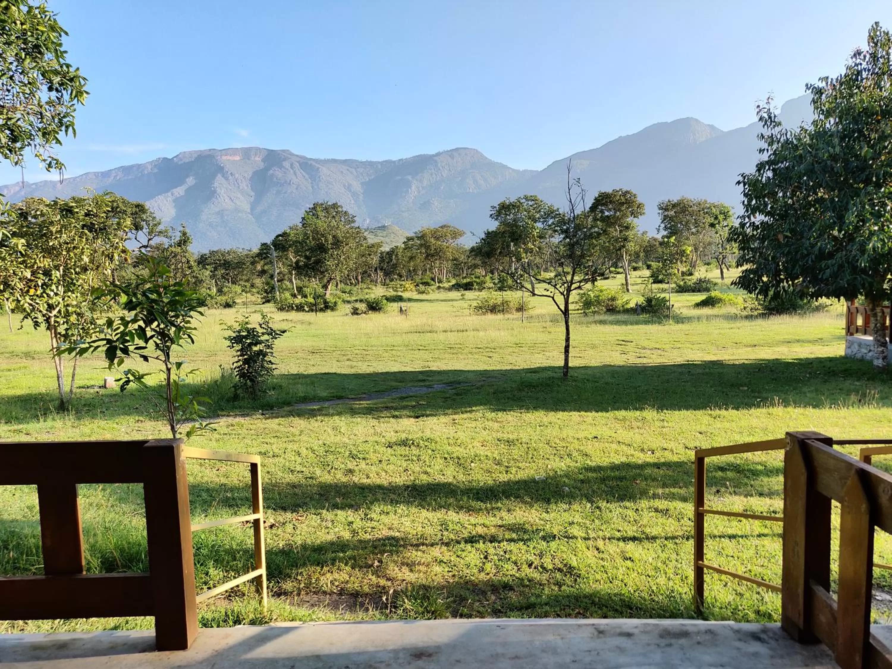 Spring in labdhi Resorts Masinagudi- Stag Groups not allowed