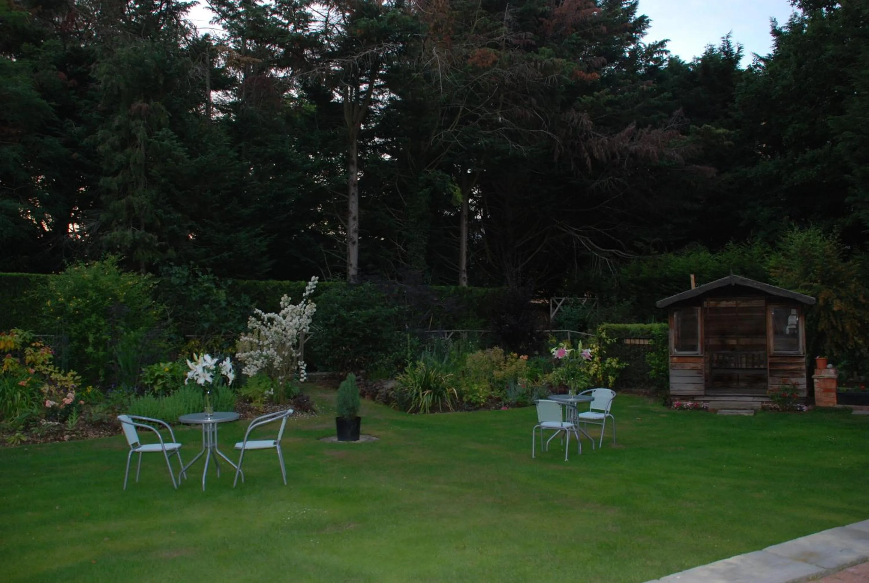 Garden in Beech House Hotel