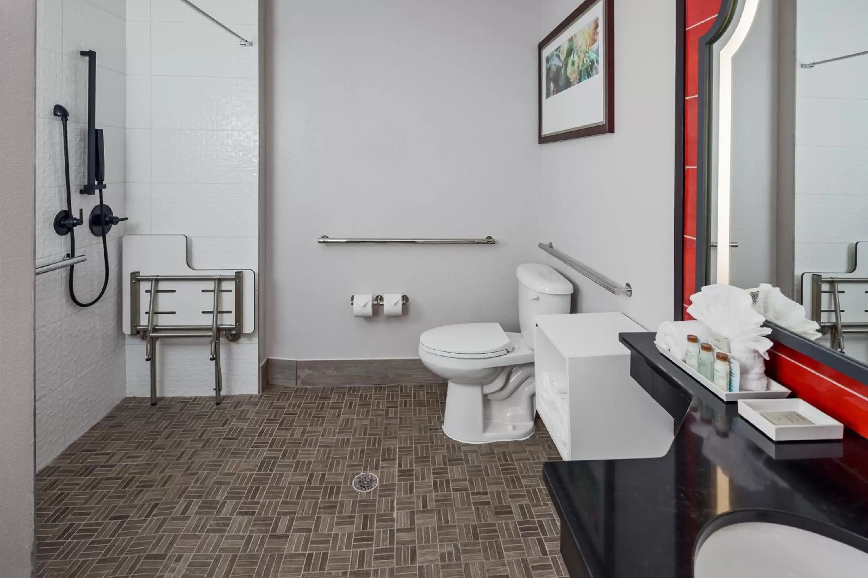 Photo of the whole room, Bathroom in Hotel Indigo San Antonio Riverwalk, an IHG Hotel
