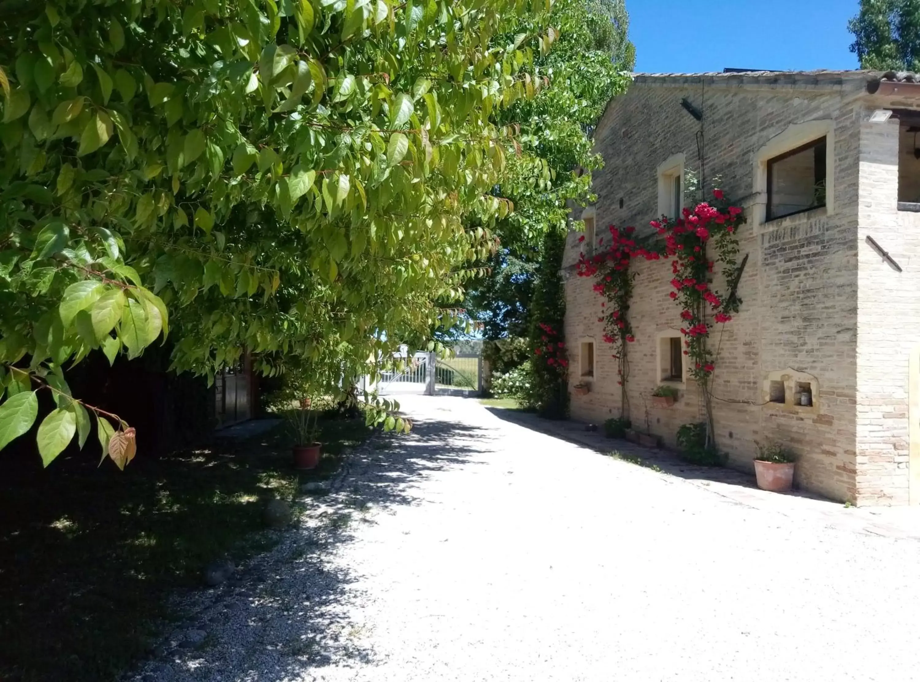 Property Building in La Casa di Tara B&B Armonia e Natura