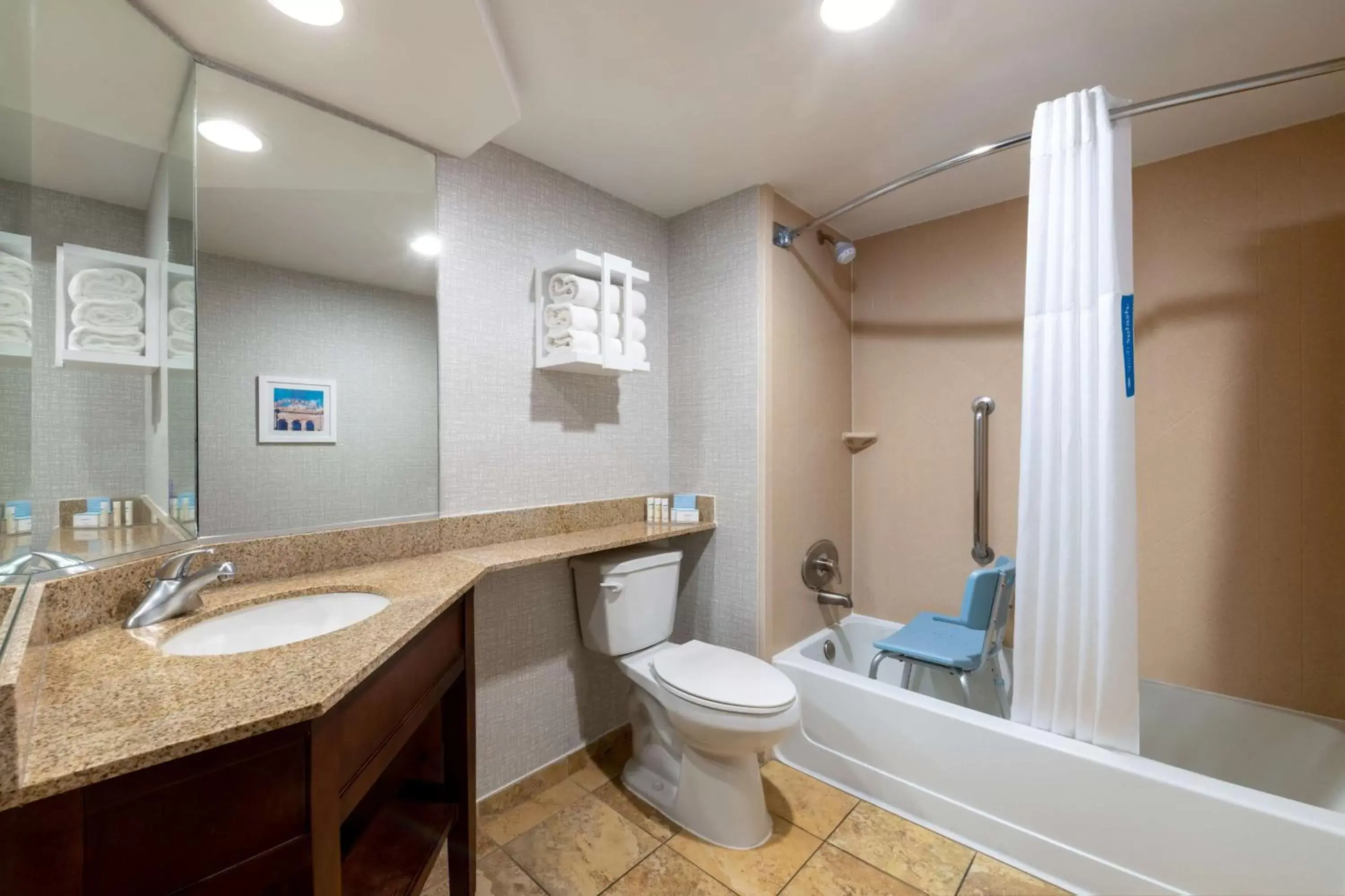 Bathroom in Hampton Inn Denver-International Airport