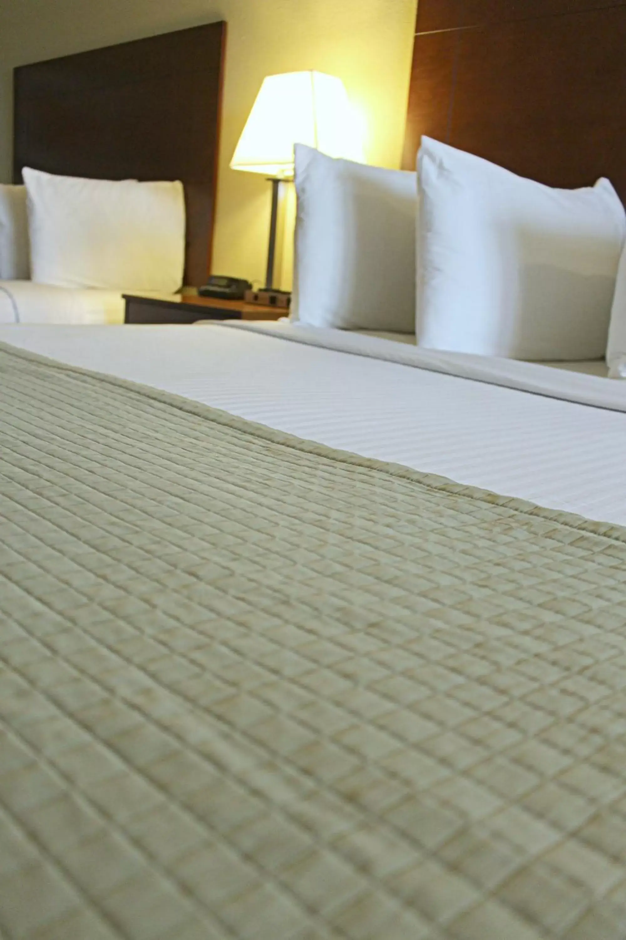 Bed in Southern Inn & Suites Lamesa