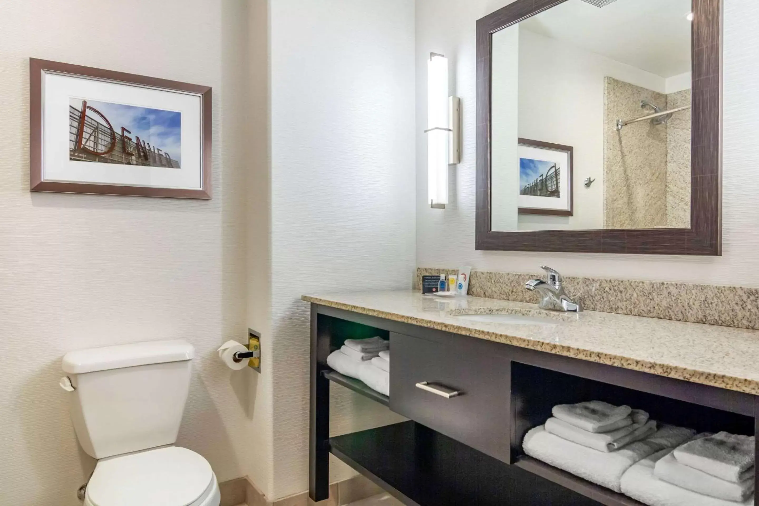 Photo of the whole room, Bathroom in Comfort Inn & Suites Brighton Denver NE Medical Center