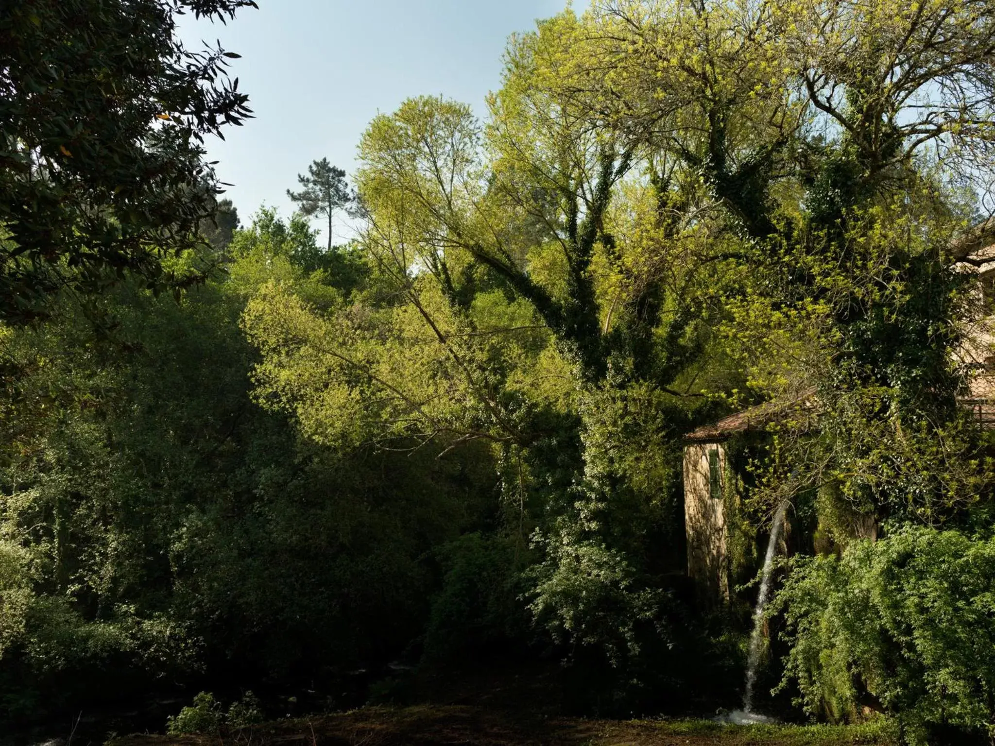 Facade/entrance, Natural Landscape in A Quinta Da Auga Hotel Spa Relais & Chateaux