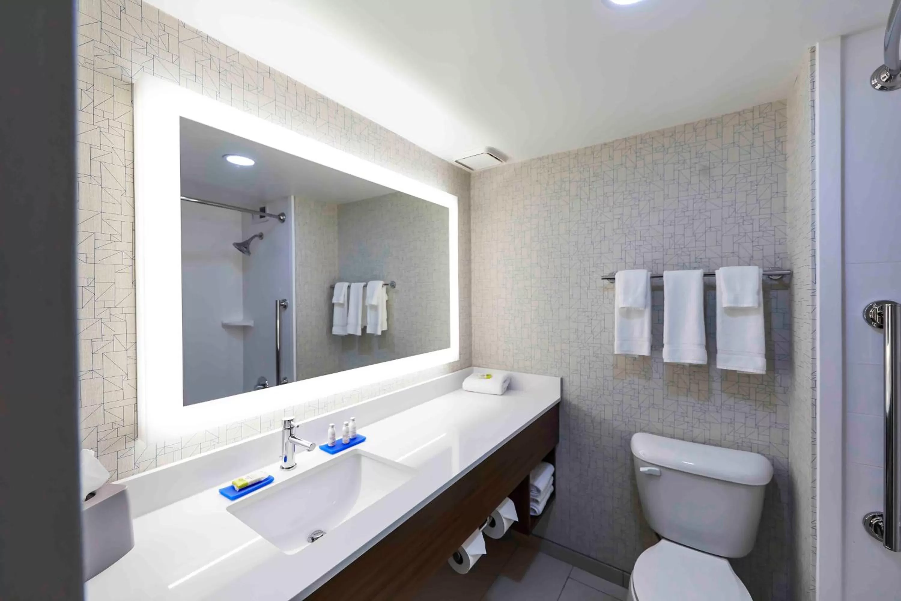 Suite - Mobility Access Roll in Shower/Non-Smoking in Holiday Inn Express Nashville-Downtown - Broadway by IHG