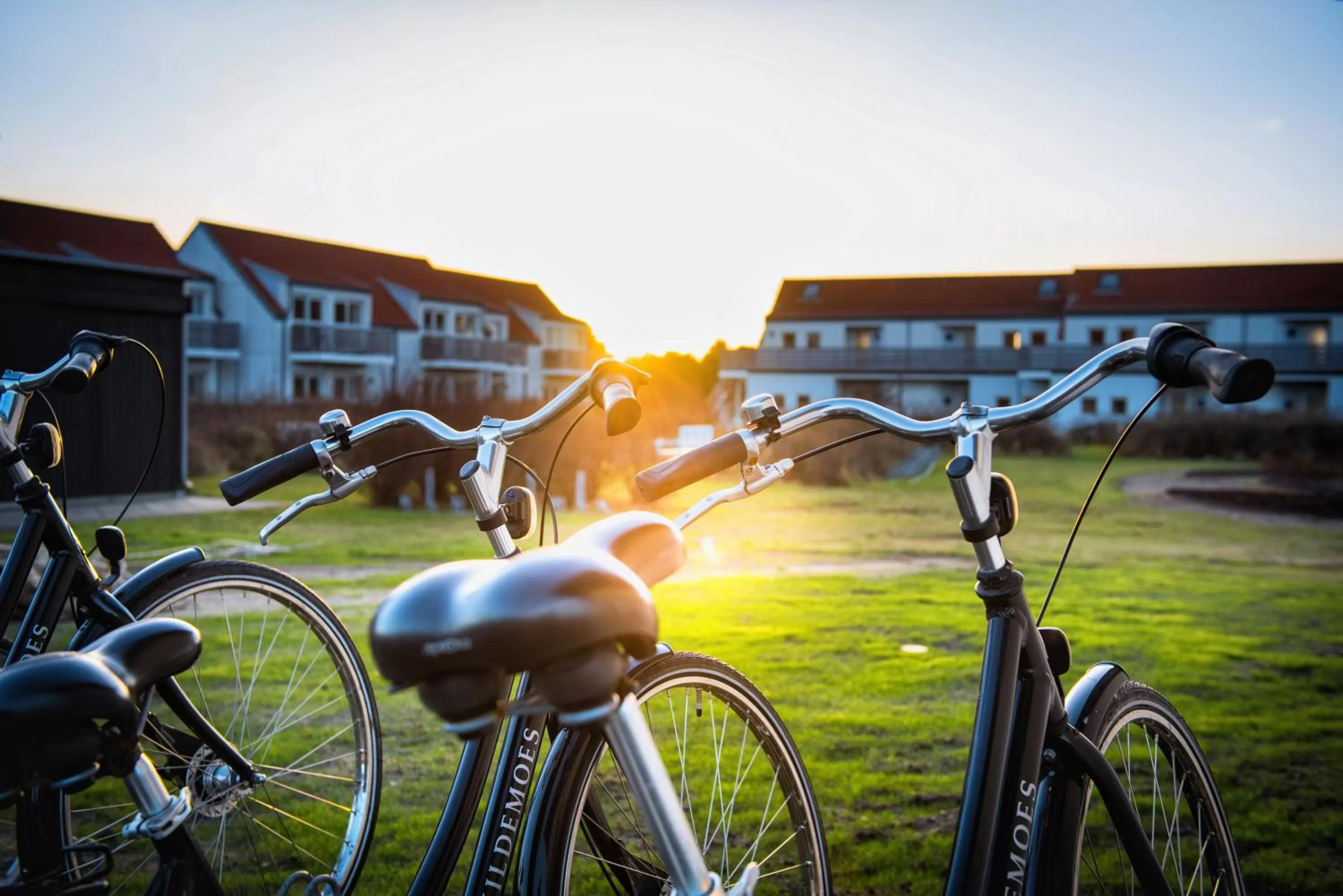 Standard One-Bedroom Apartment in Color Hotel Skagen