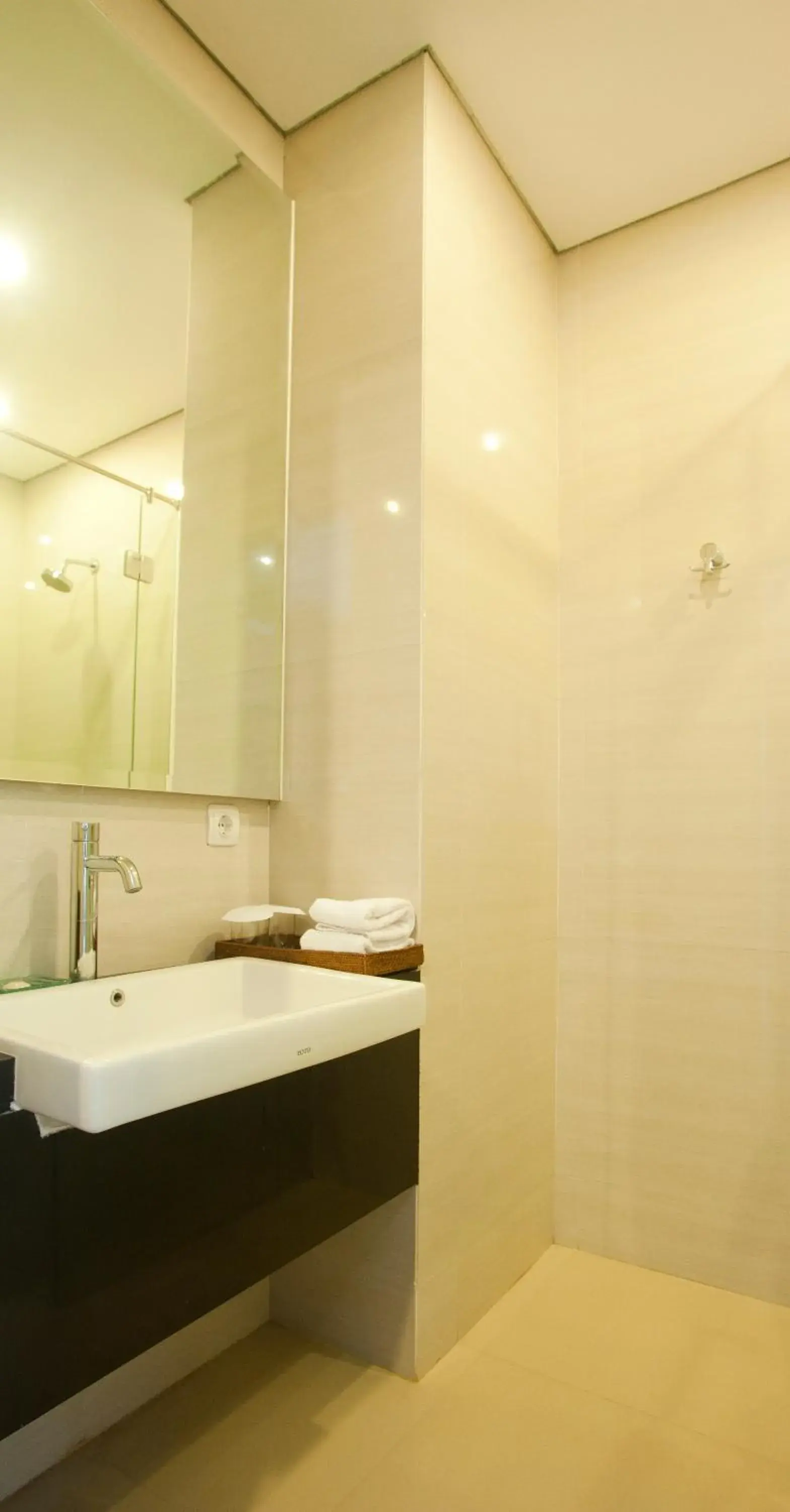 Shower, Bathroom in The Astari Villa and Residence