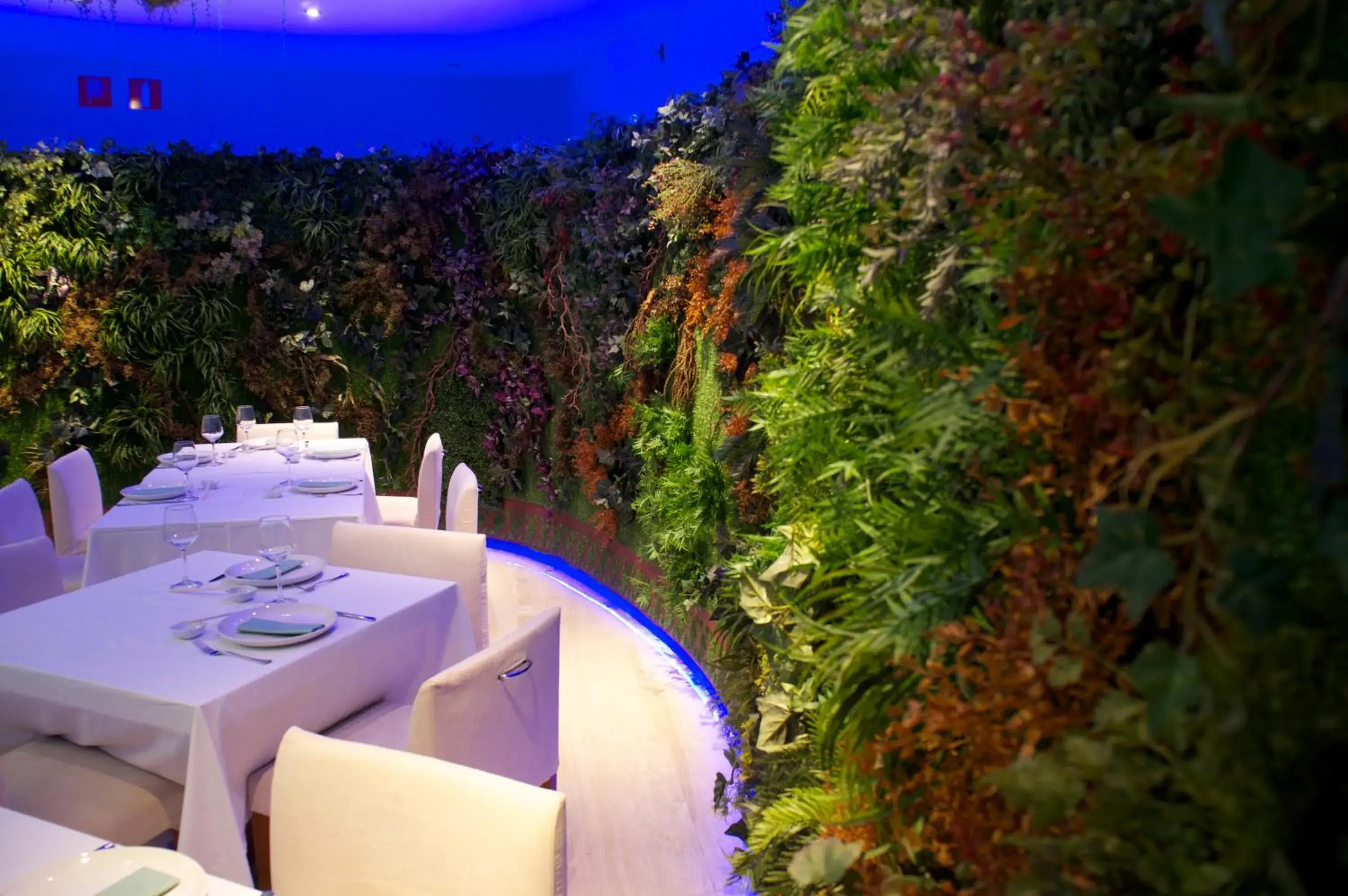 Restaurant/places to eat in Gran Hotel Albacete Restaurant/places to eat in Gran Hotel Albacete