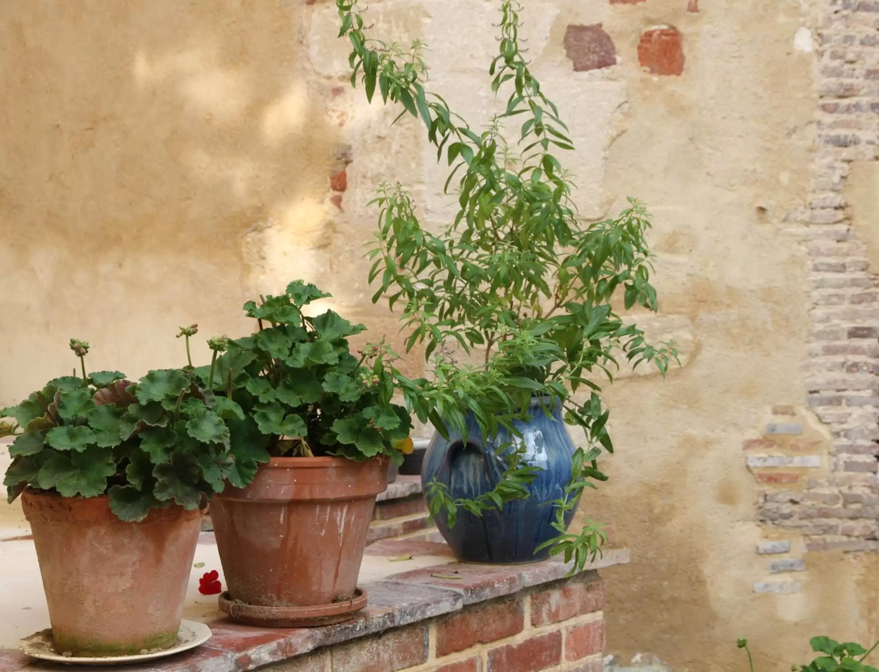 Property building in La maison Jeanne d'Arc