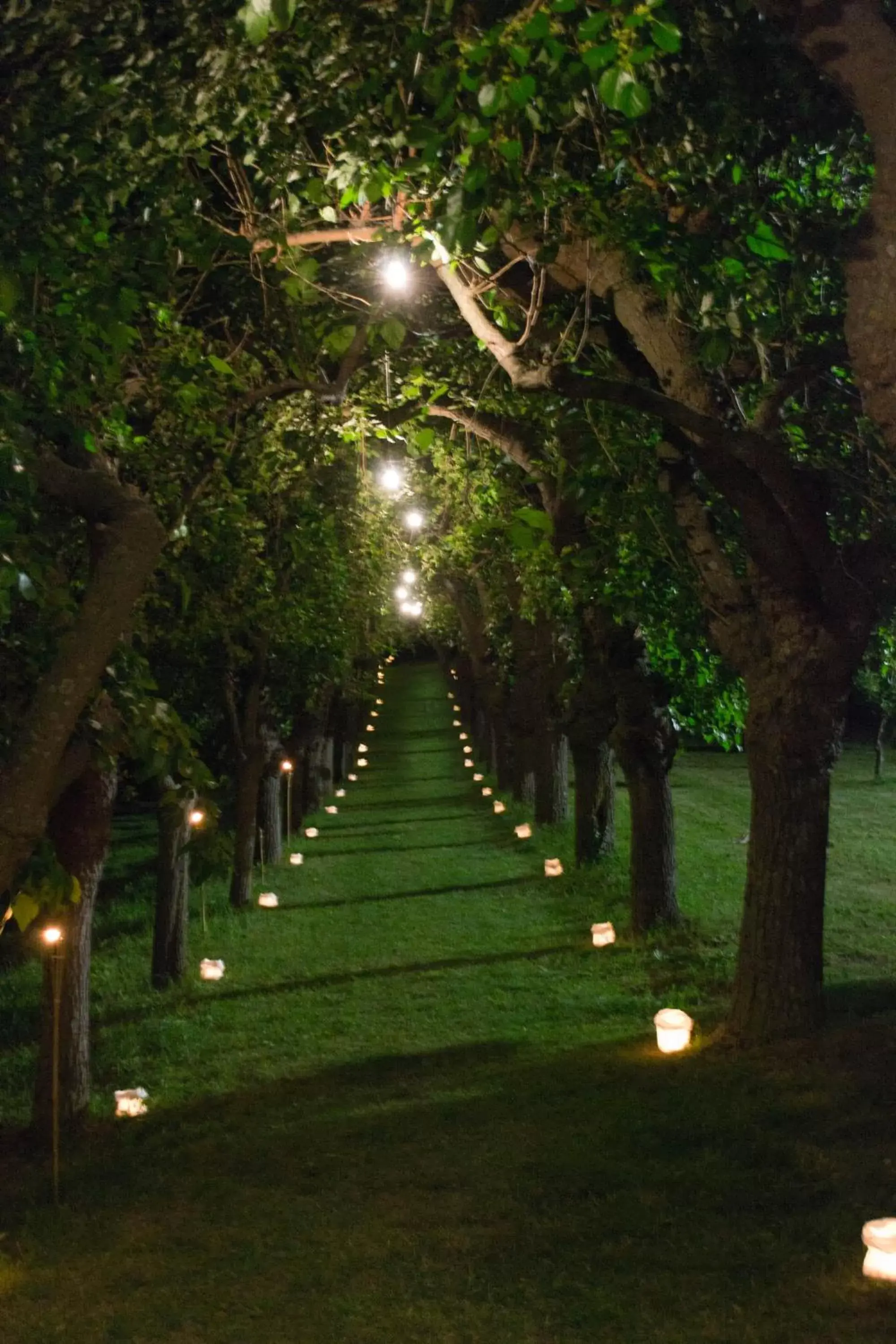 Garden in Collina dei Poeti