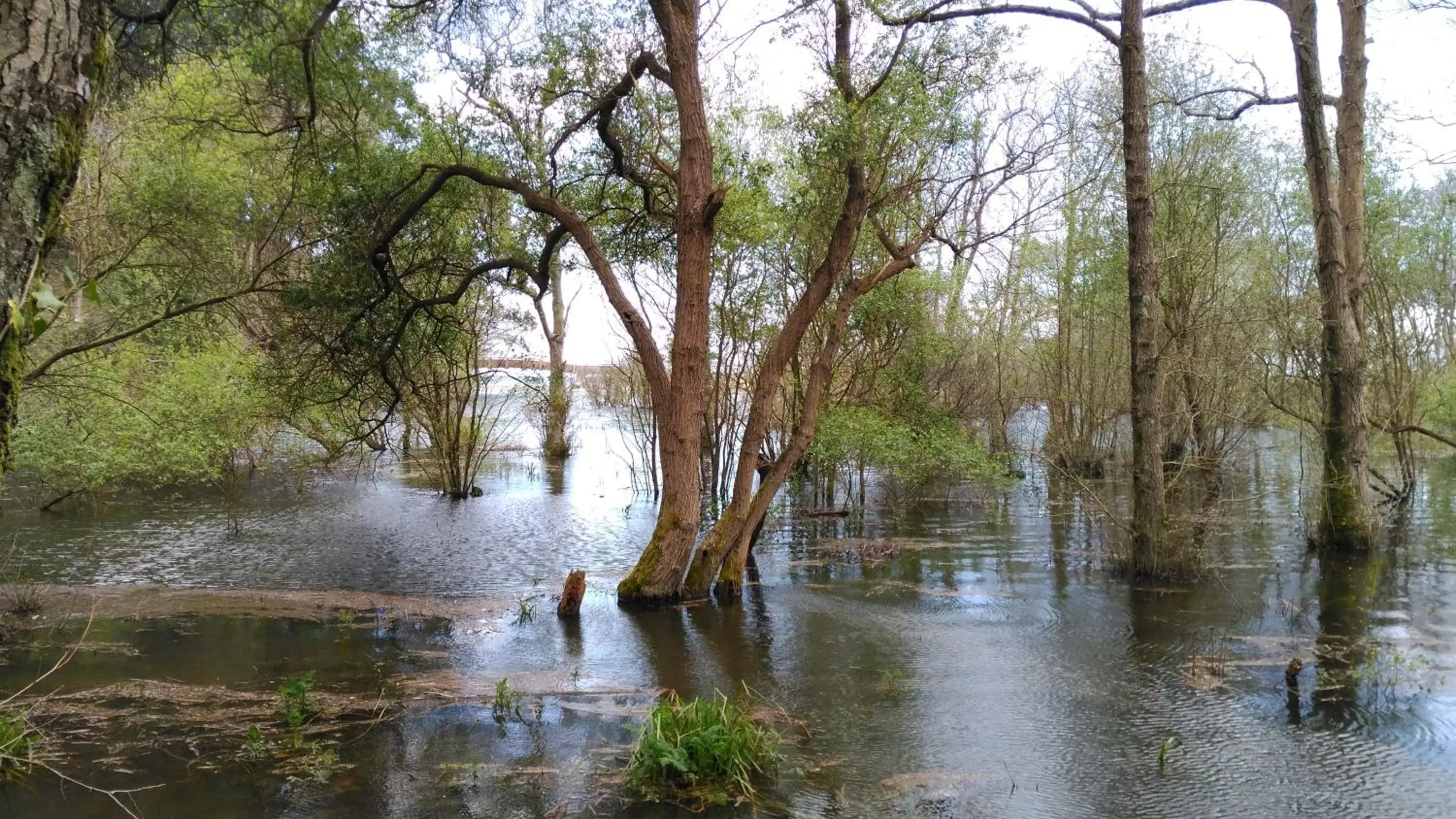 Natural landscape in Hotel Casa Vieja del Sastre