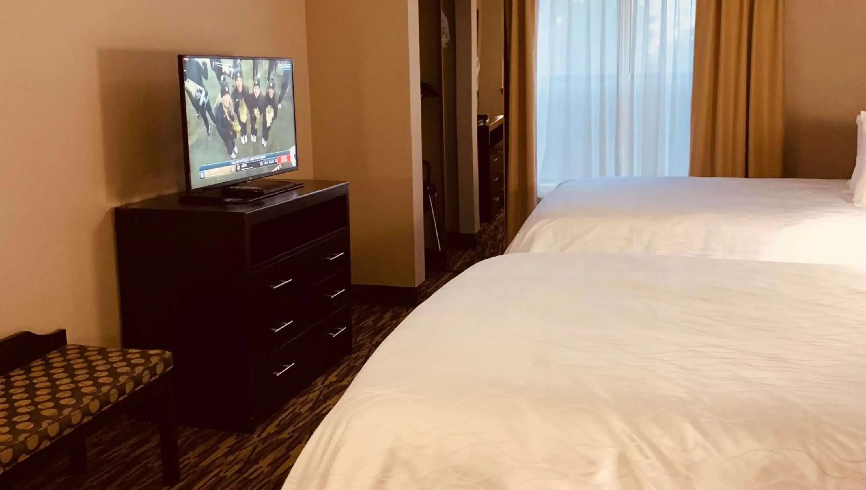 Photo of the whole room, Bed in SureStay Plus Hotel by Best Western Plano