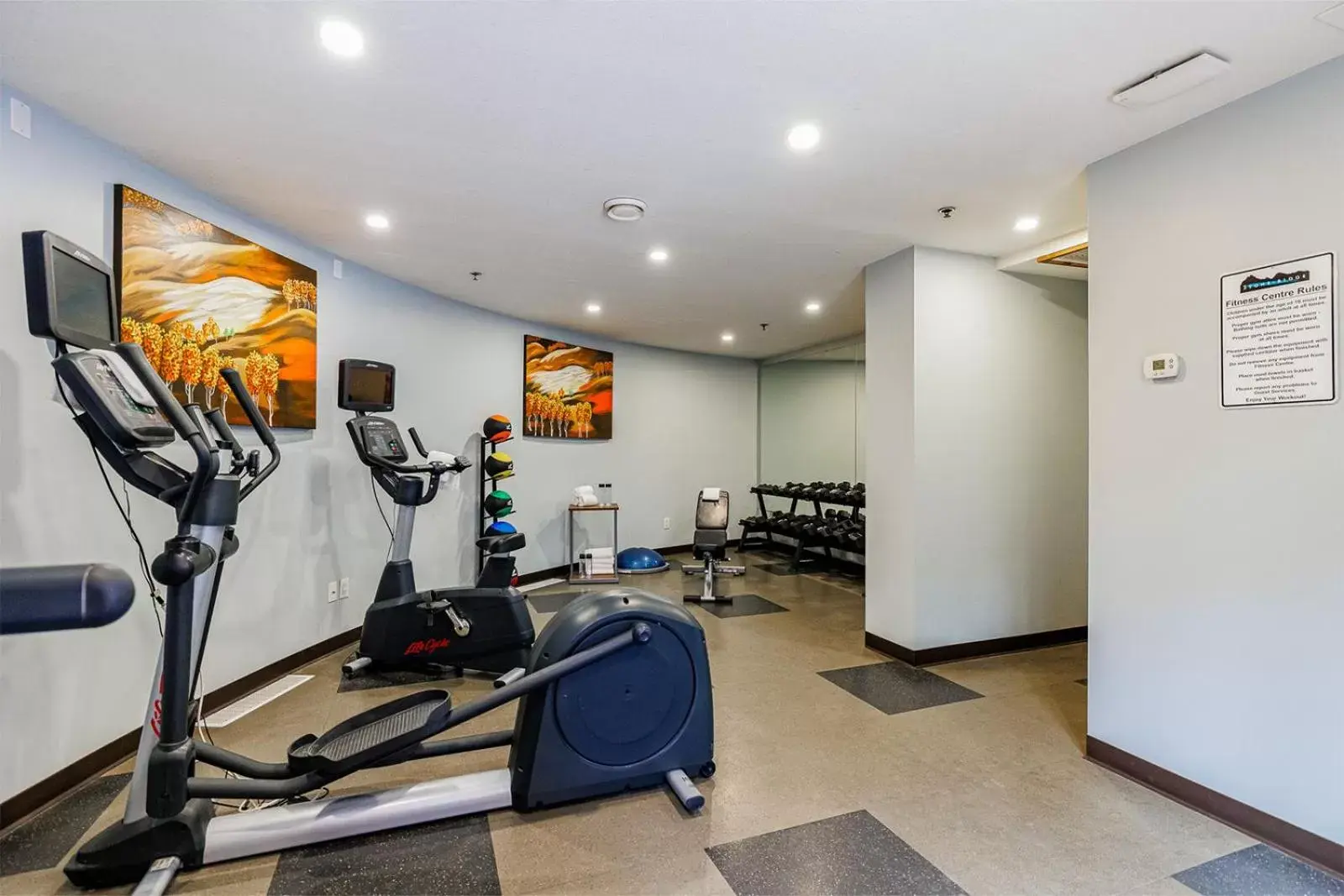 Fitness centre/facilities, Fitness Center/Facilities in Stoneridge Mountain Resort