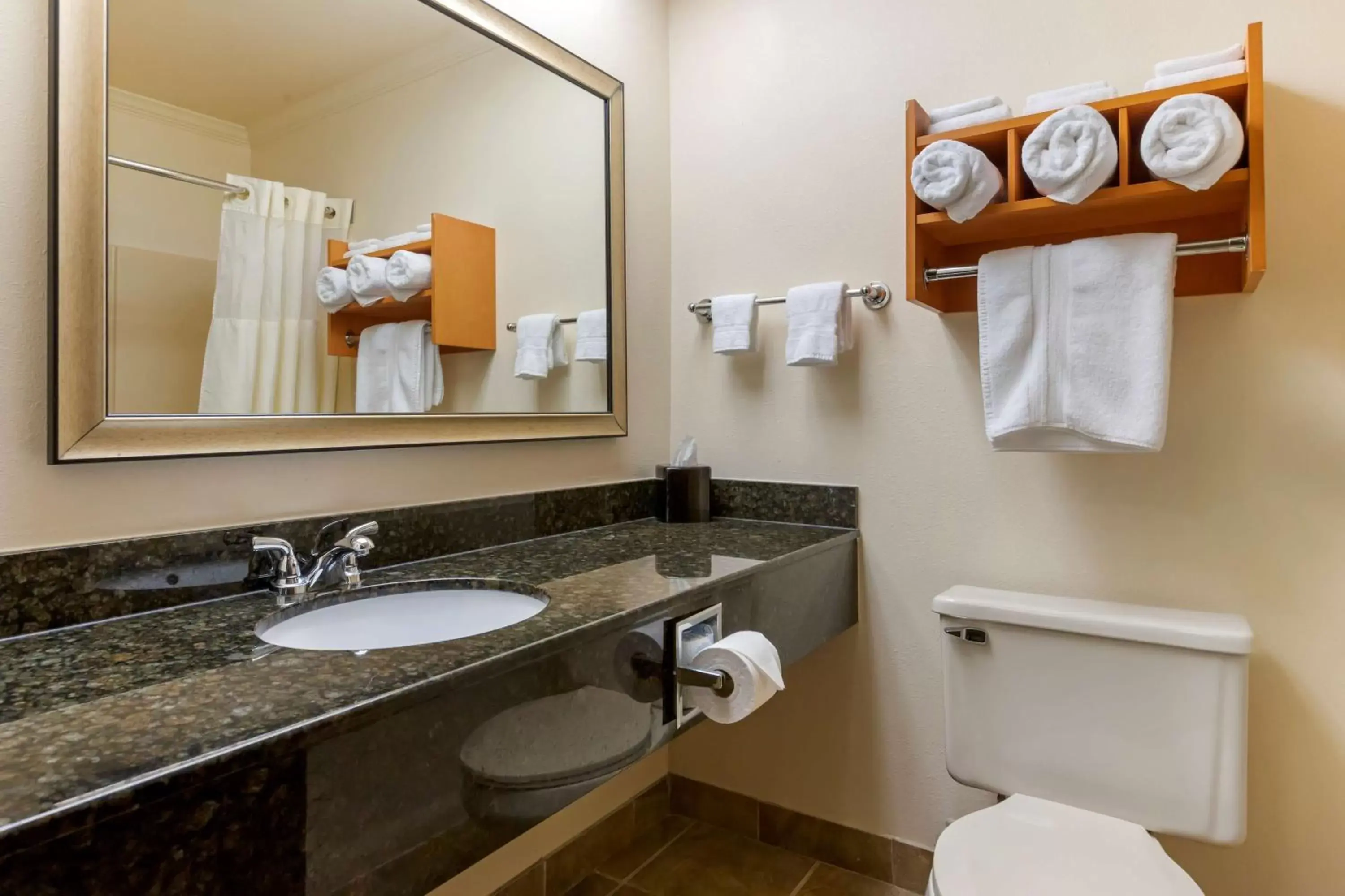 Bathroom in Best Western Davison Inn