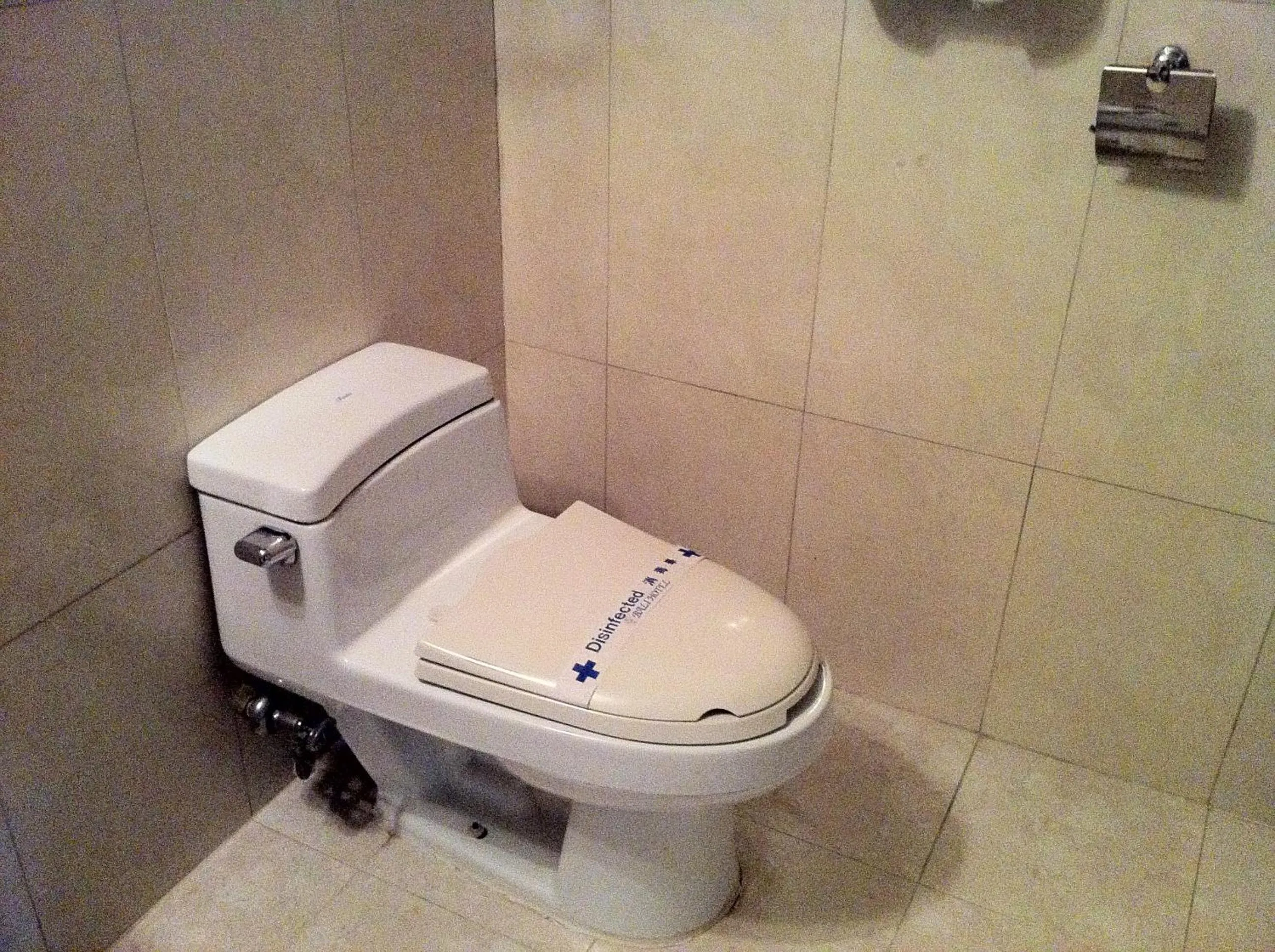 Toilet in Bali Tourist Hotel
