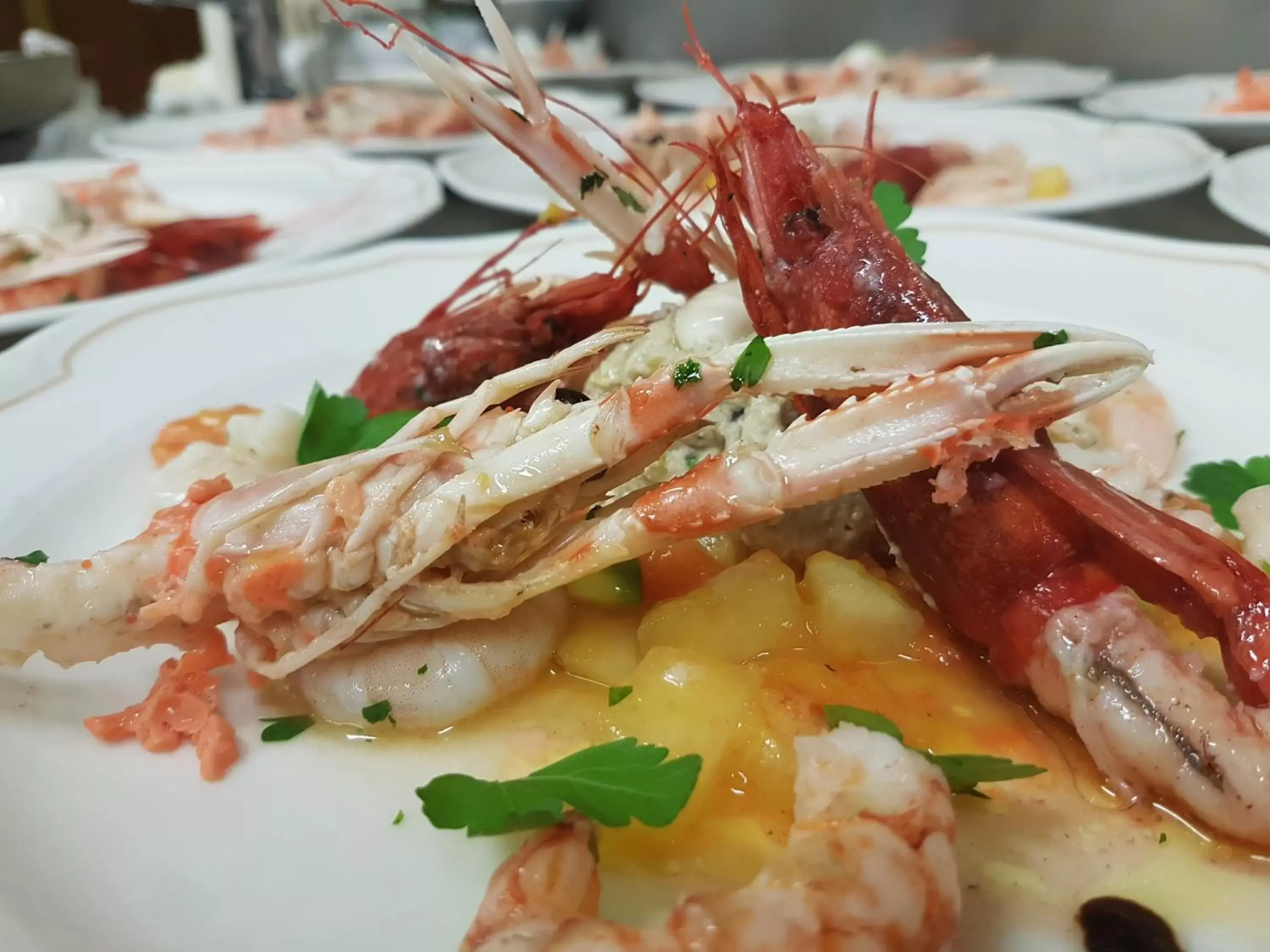 Restaurant/places to eat, Food in Palace Hotel "La CONCHIGLIA D' ORO"
