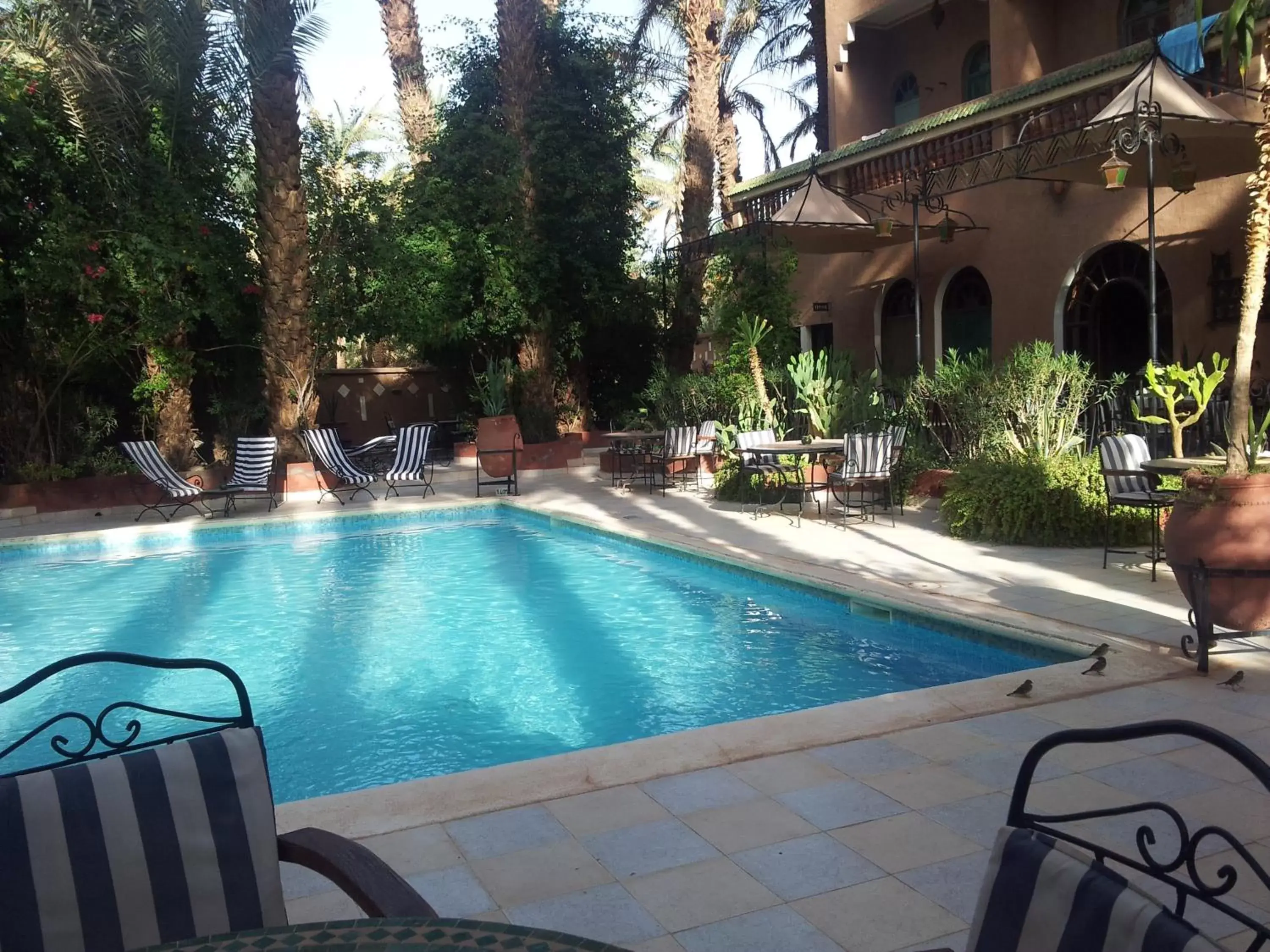 Day, Swimming Pool in Kasbah Sirocco