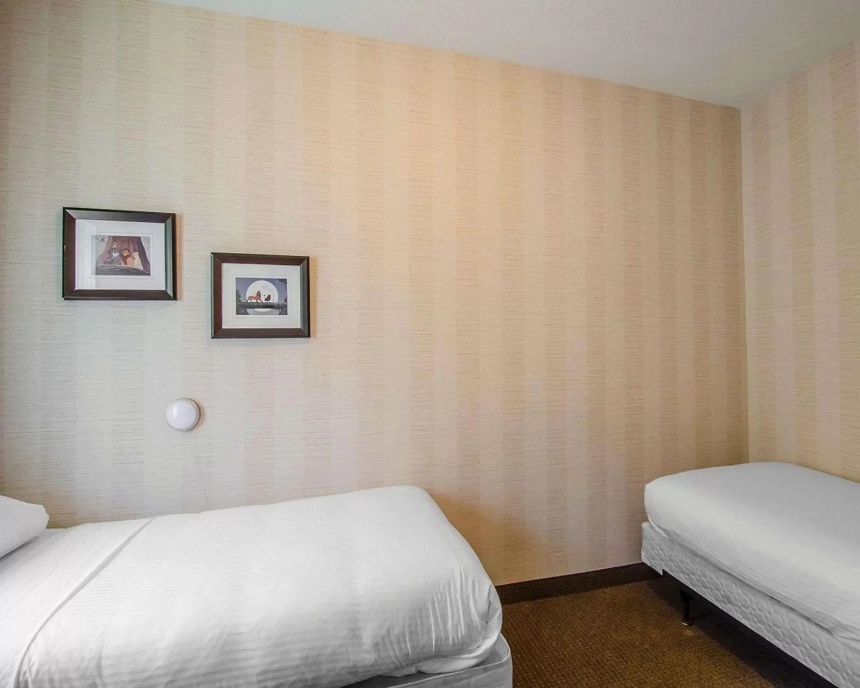 Photo of the whole room, Bed in Quality Inn & Suites Grand Prairie