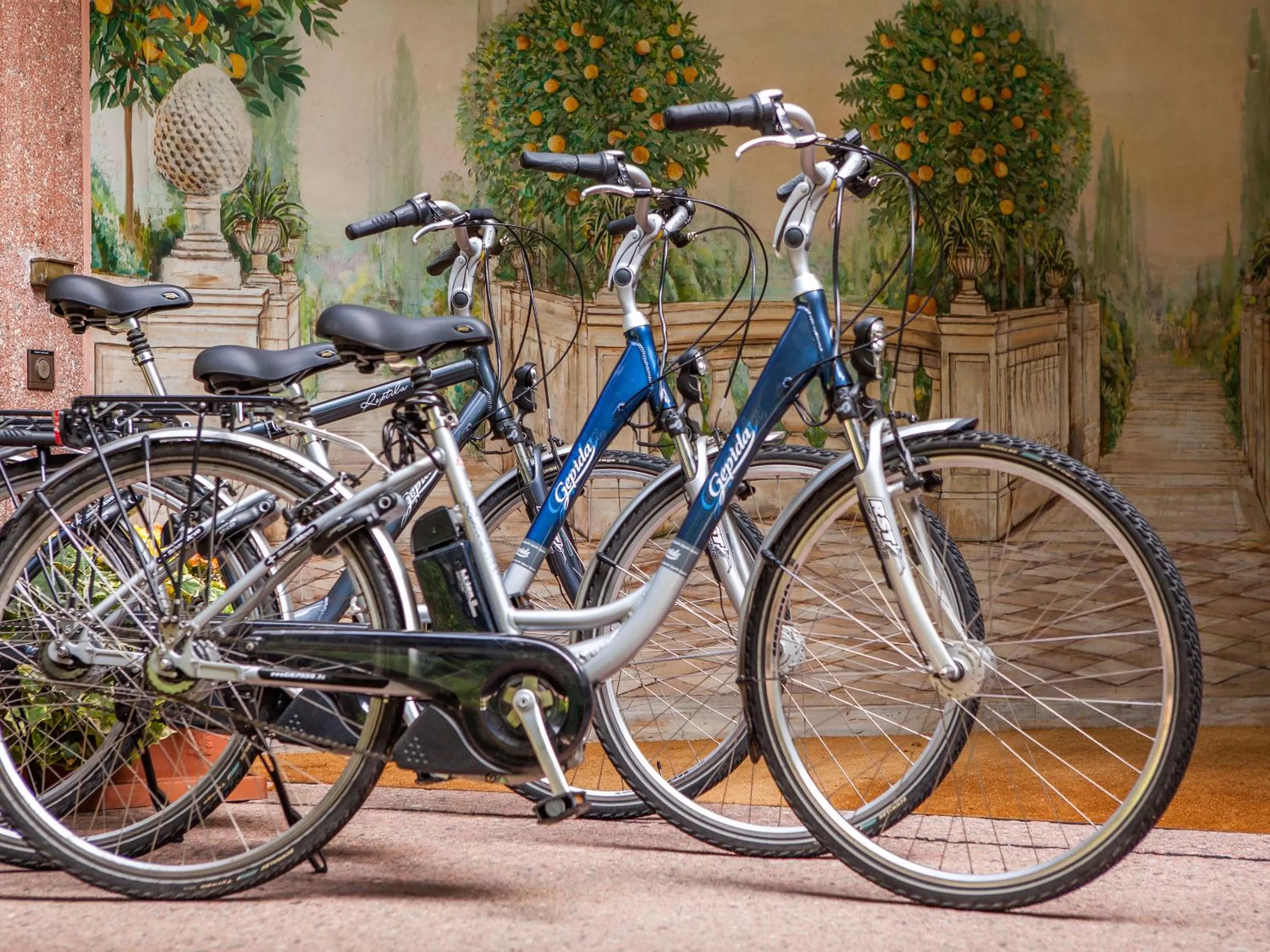 Cycling in Park Hotel Principe