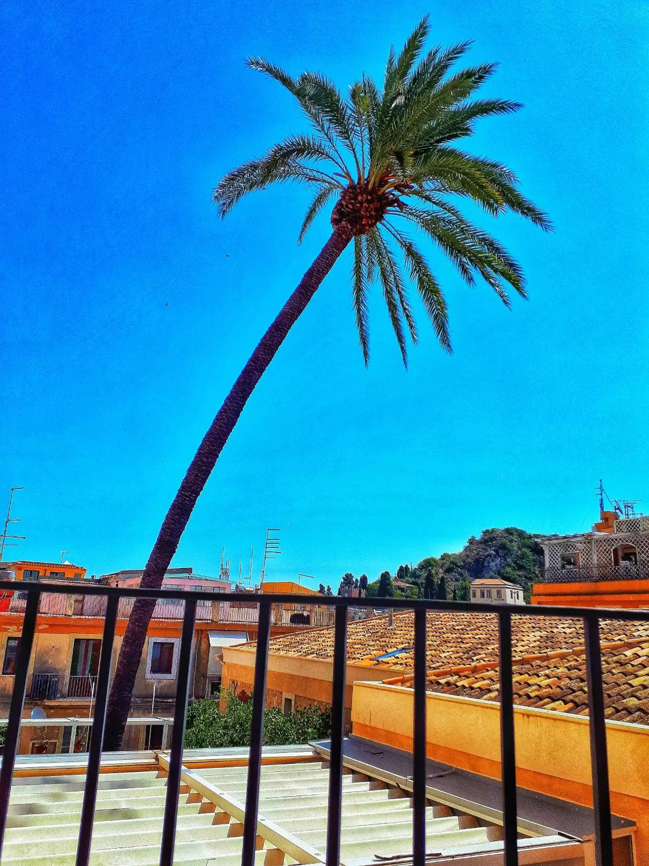 Balcony/Terrace in Hotel Le Chevalier