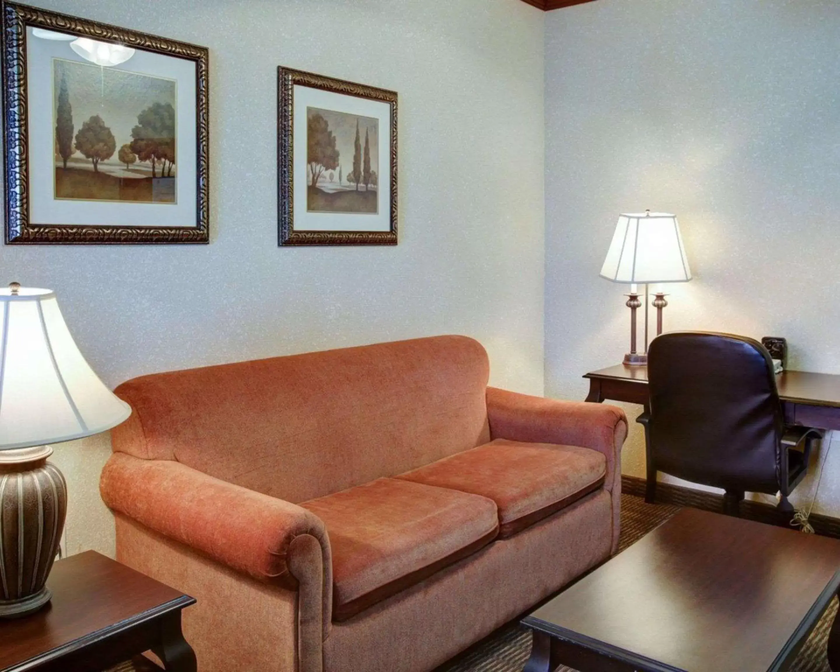 Photo of the whole room, Seating Area in Comfort Suites University Drive