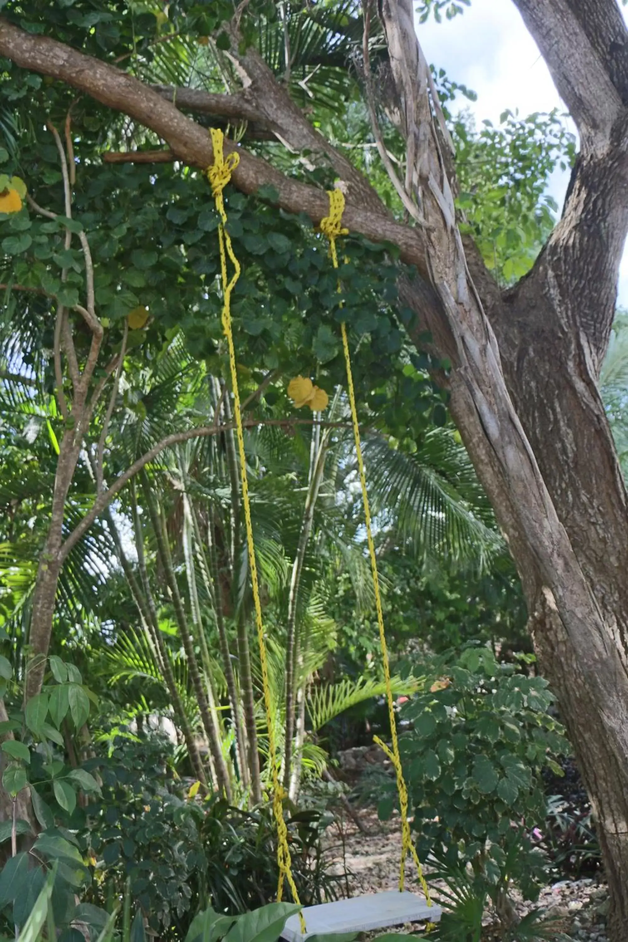 Other, Garden in WishTulum