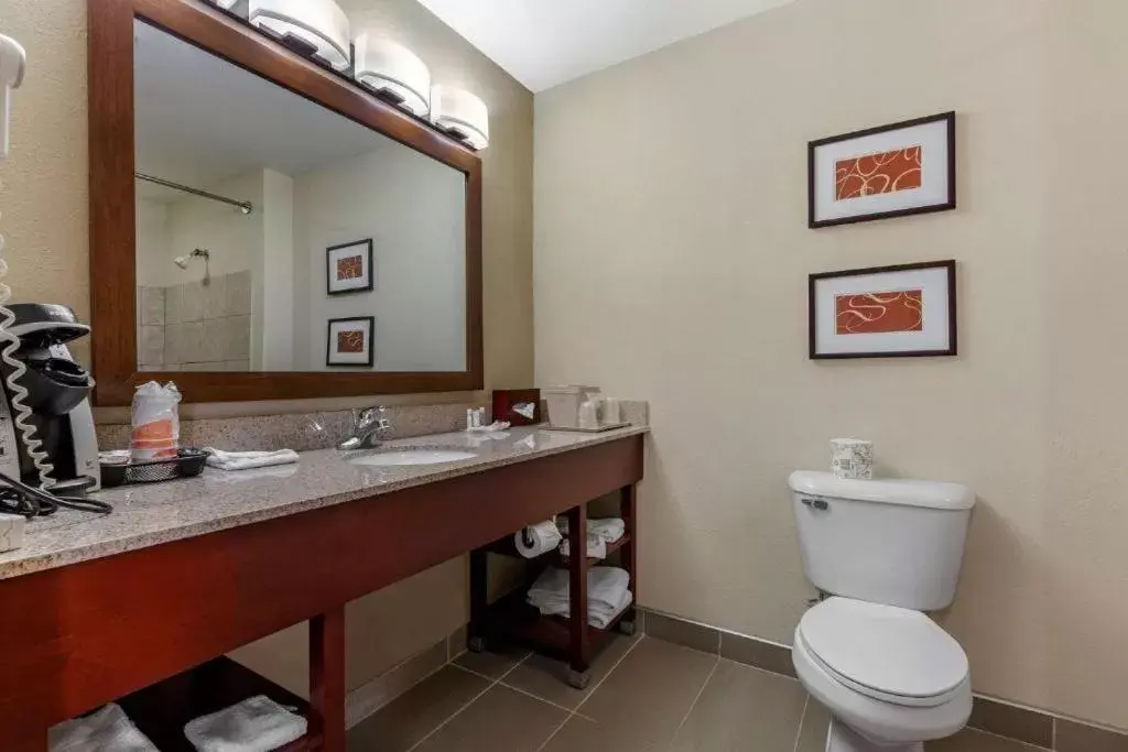 Bathroom in Comfort Suites Delavan - Lake Geneva Area