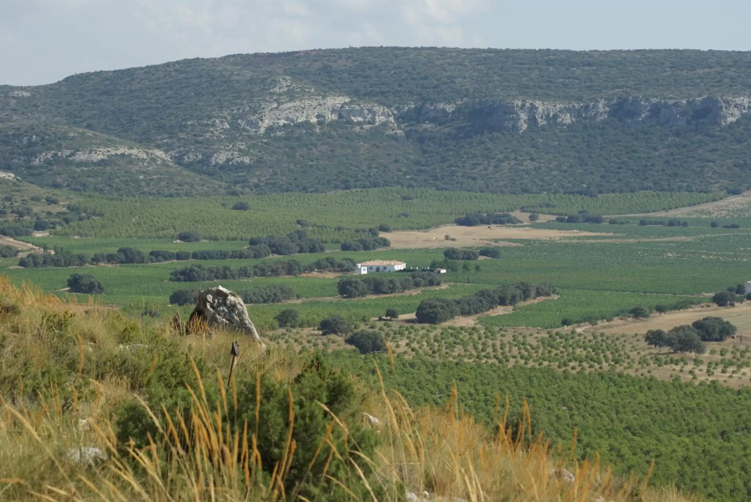 Bird's eye view in Finca El Romeral