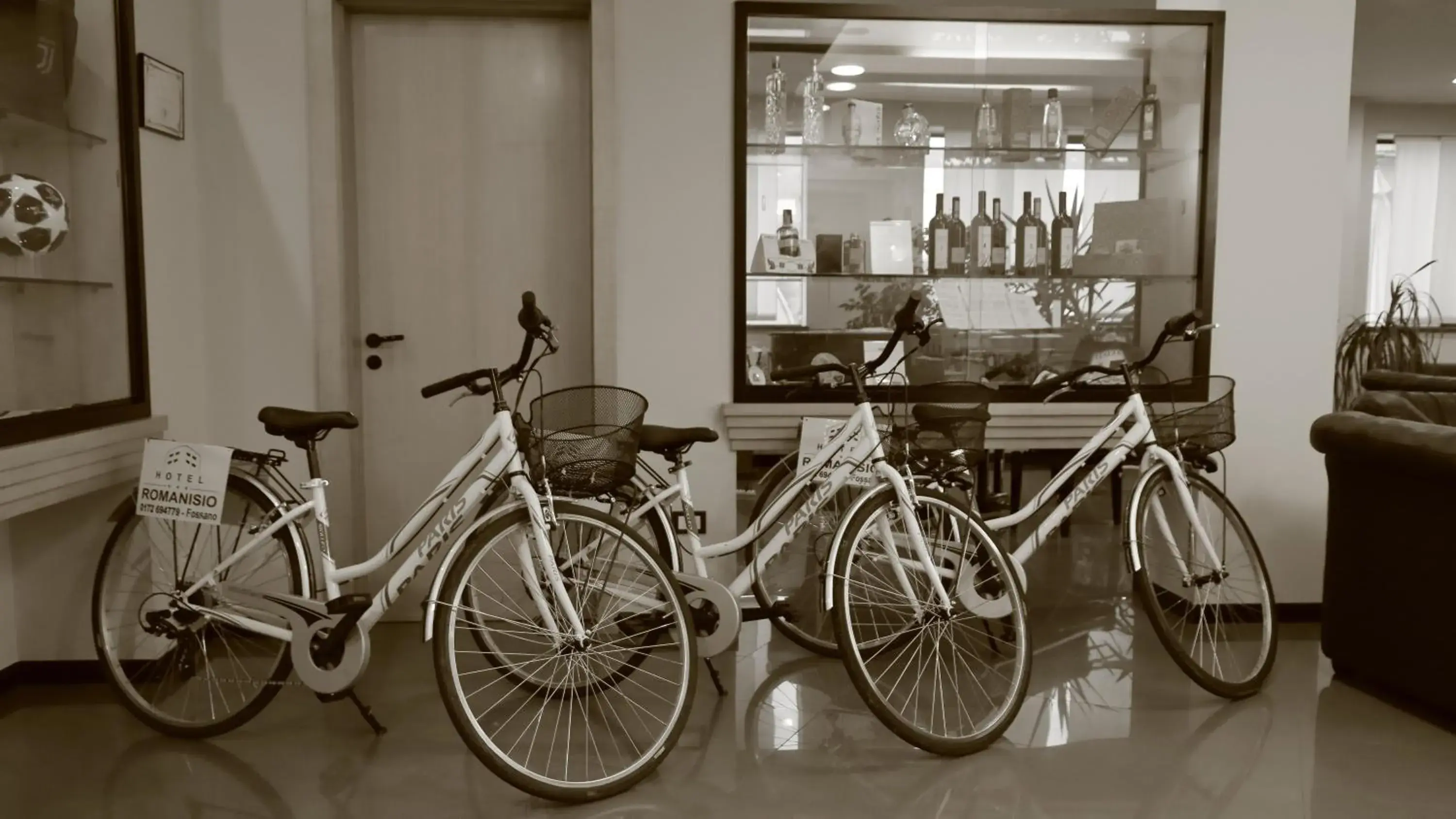 Cycling, Other Activities in Hotel Romanisio