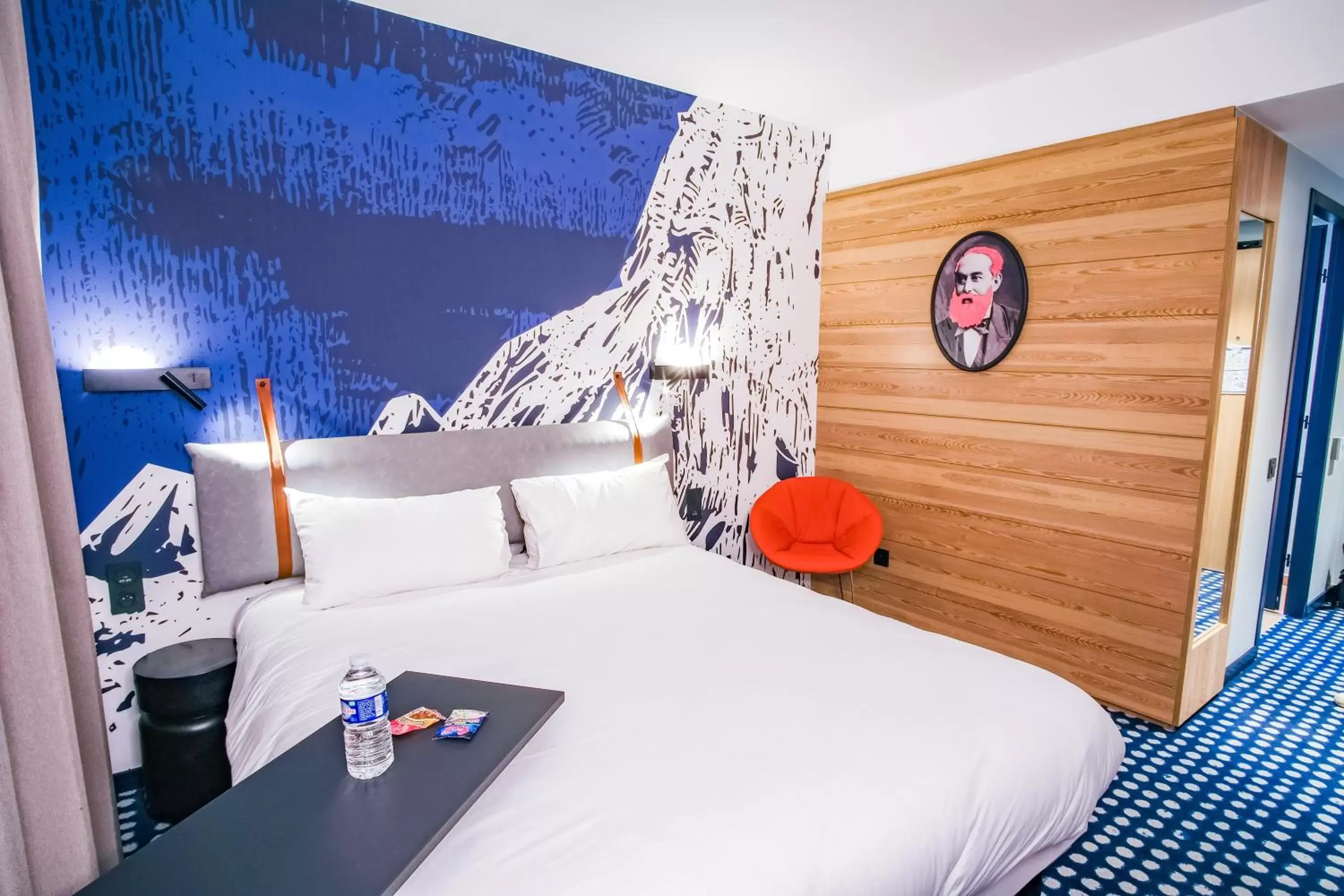 Photo of the whole room, Bed in ibis Styles Albertville