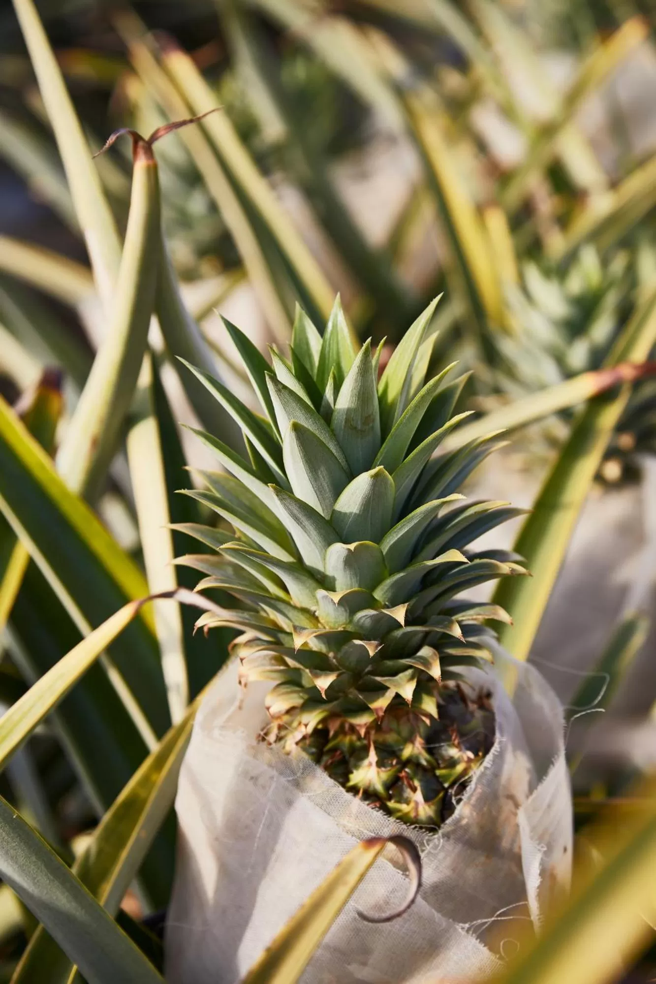 Property building in Hotel San Cristobal Adults 15+