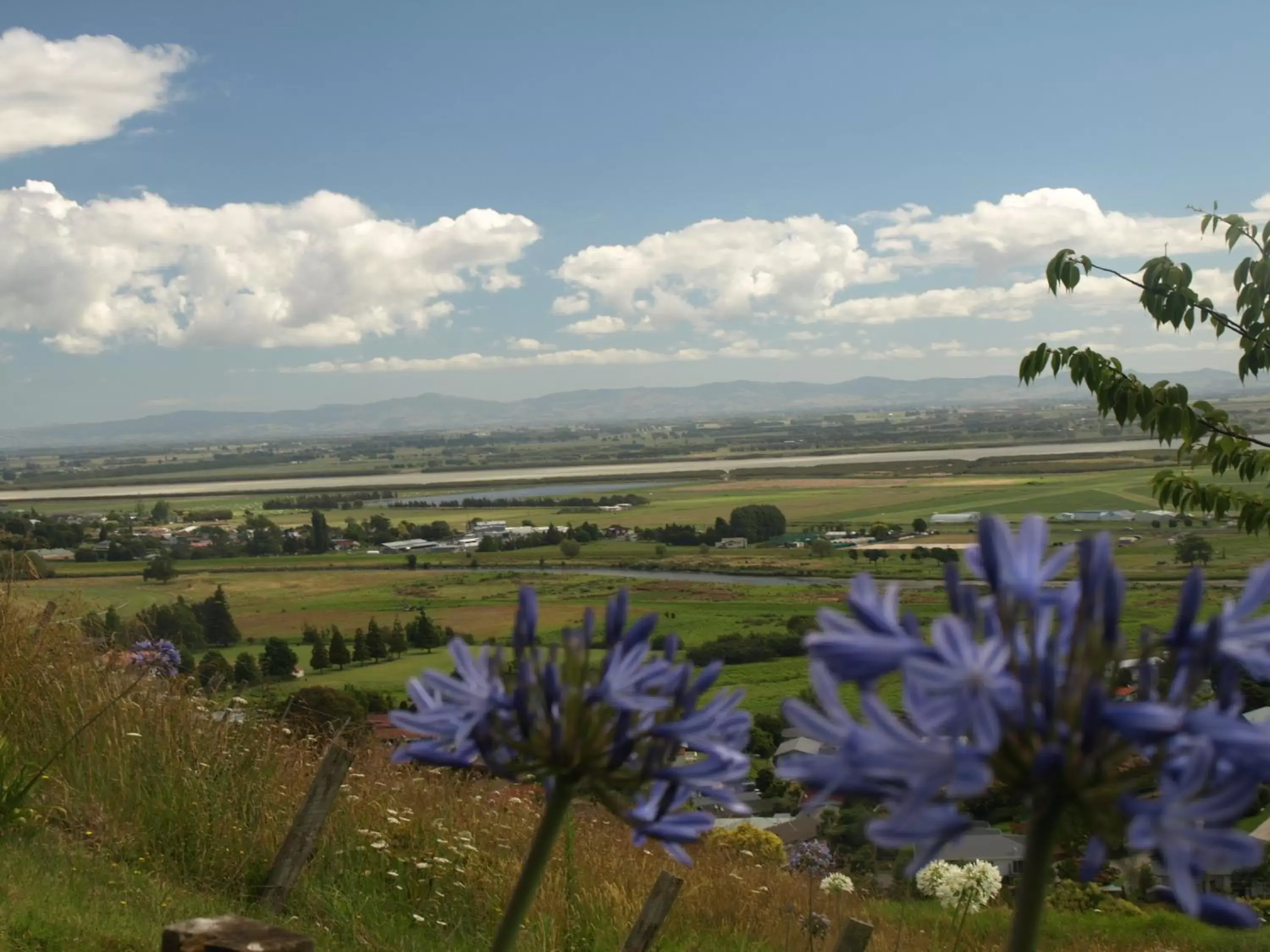 Natural landscape in Grafton Cottage & Chalets