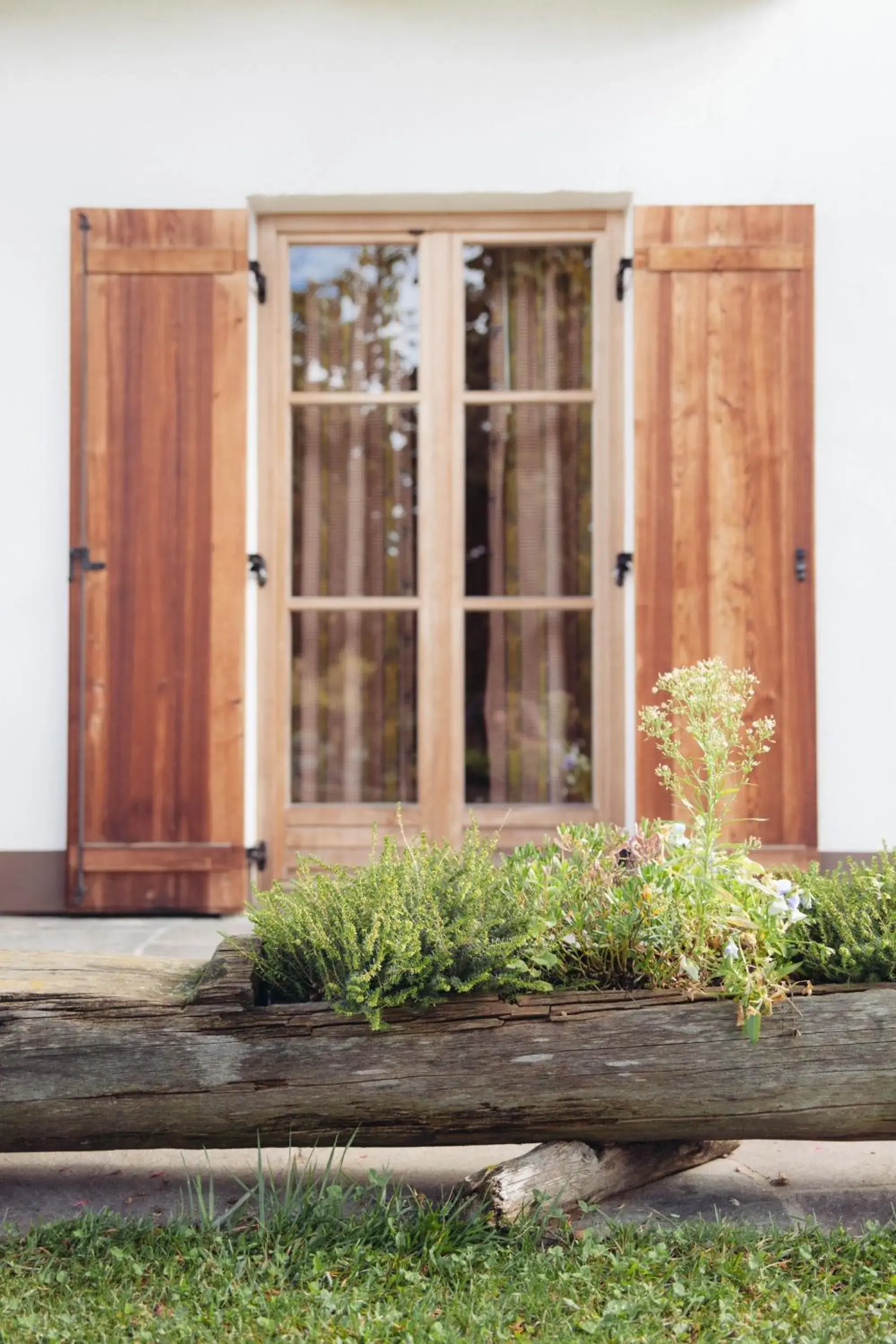 Facade/entrance in Pineta Nature Resort - Wellness & SPA