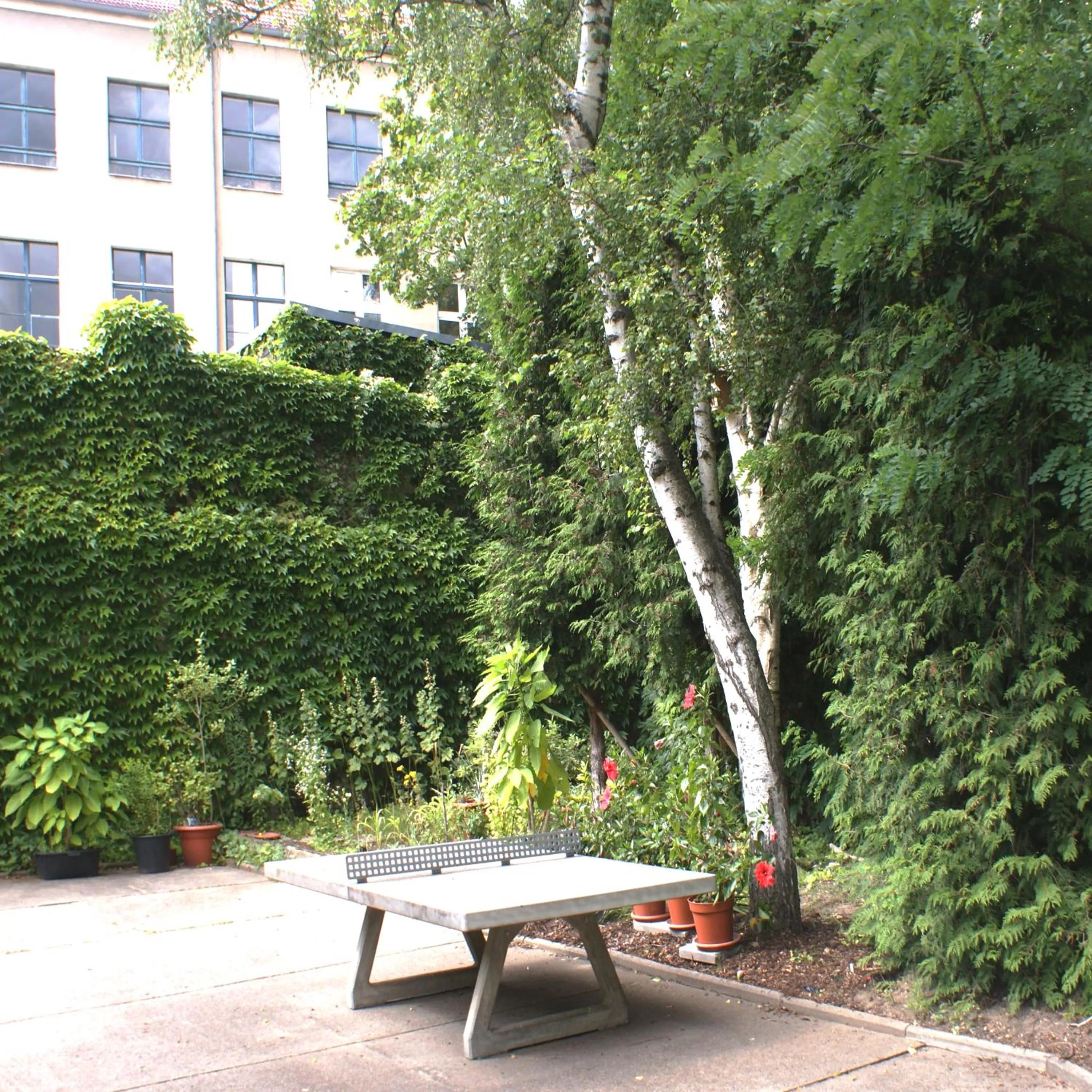 Table tennis in Familienhotel Citylight
