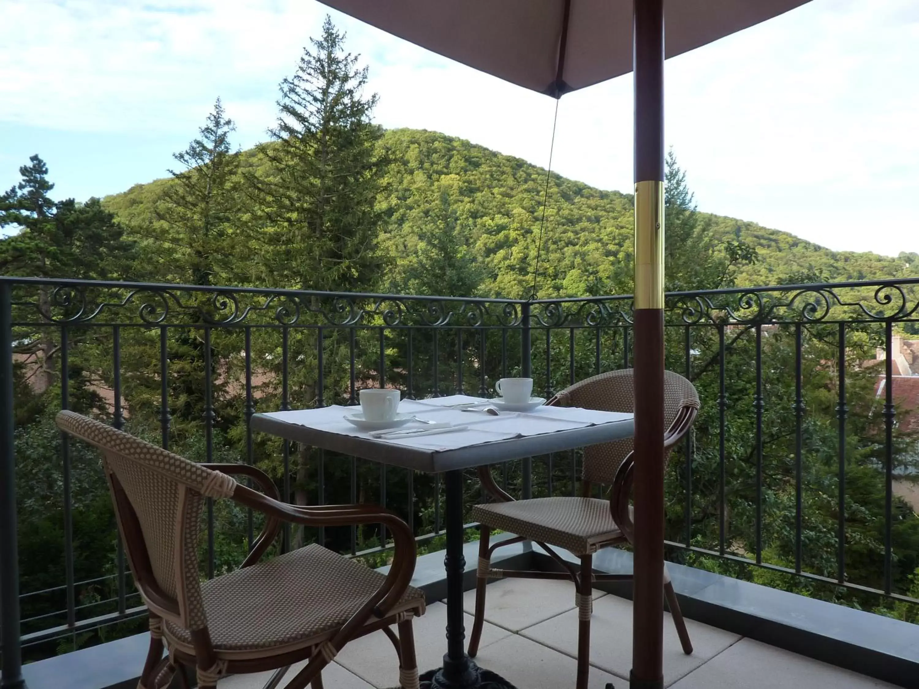 Balcony/Terrace in Hôtel Restaurant Spa Le Sauvage