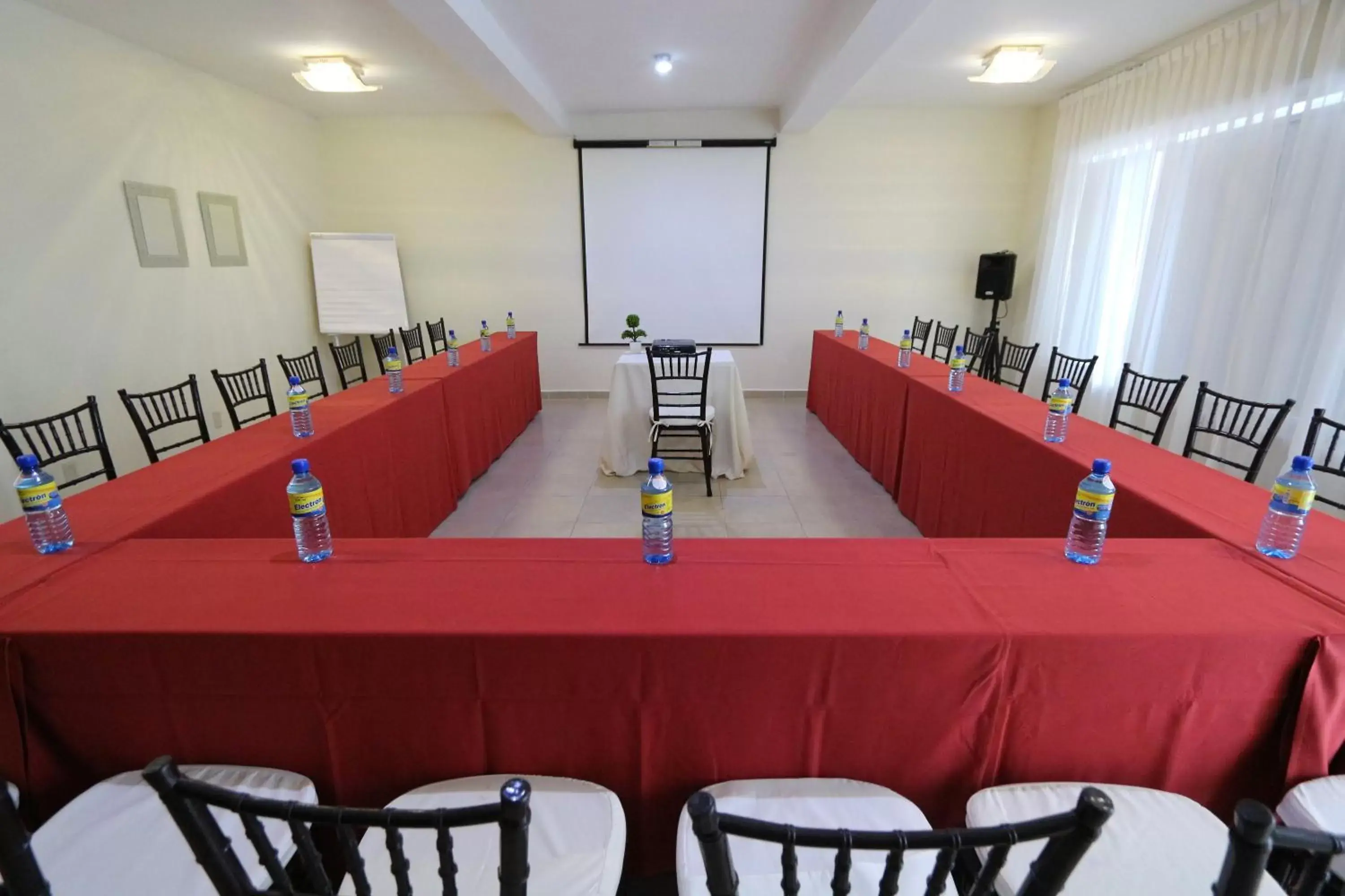 Business facilities, Business Area/Conference Room in Hotel San Miguel, en el Centro - Desayuno Gratis