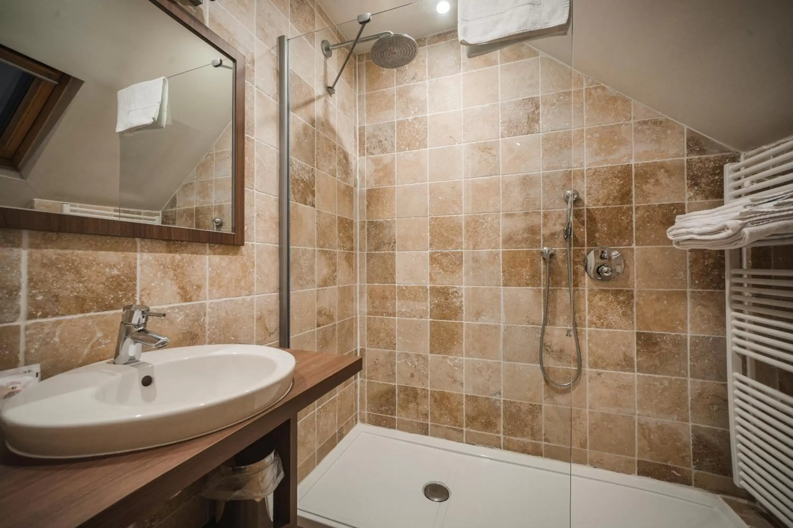 Shower, Bathroom in Hotel Louisa