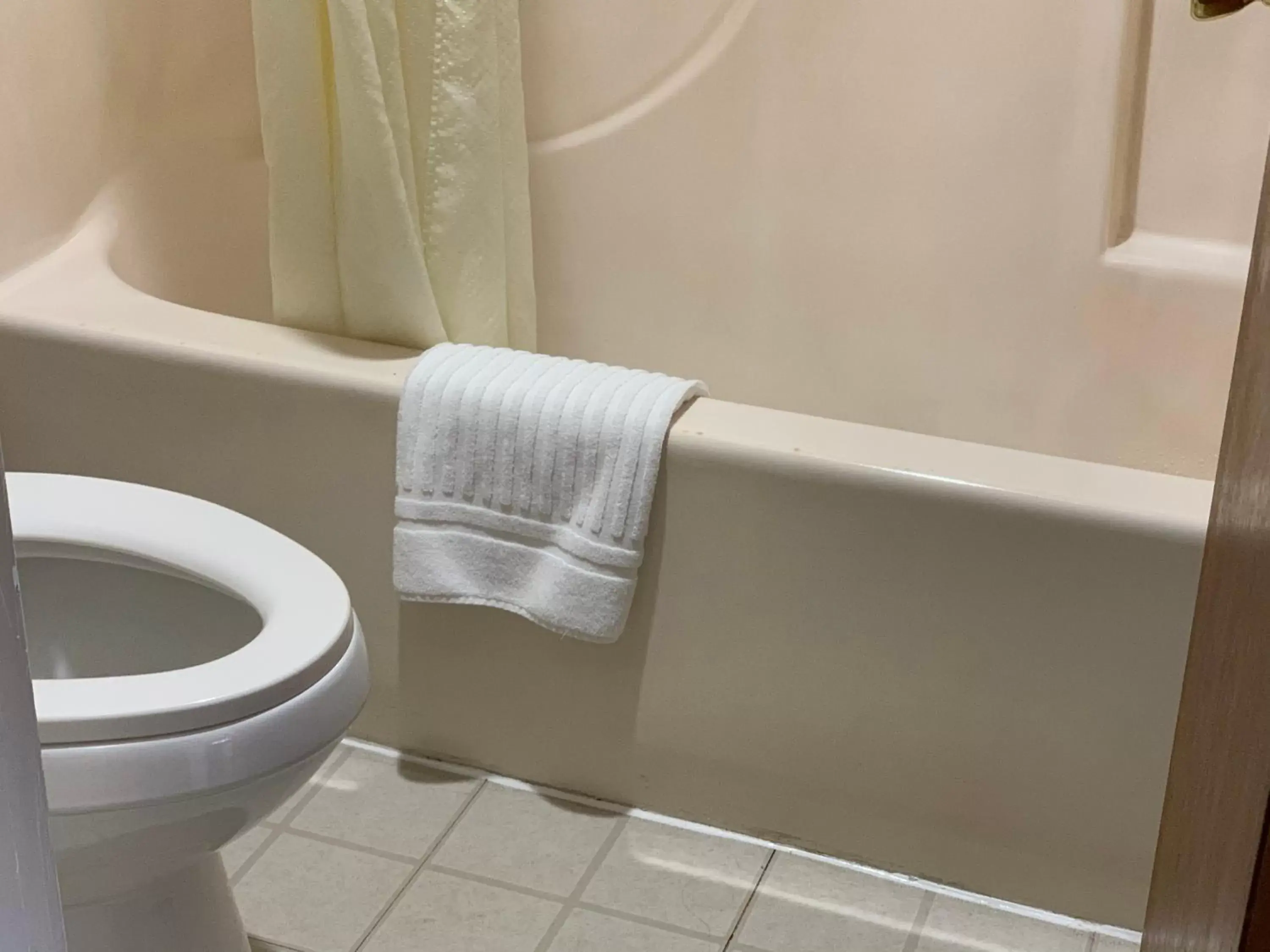 Toilet, Bathroom in Travelowes Motel - Maggie Valley