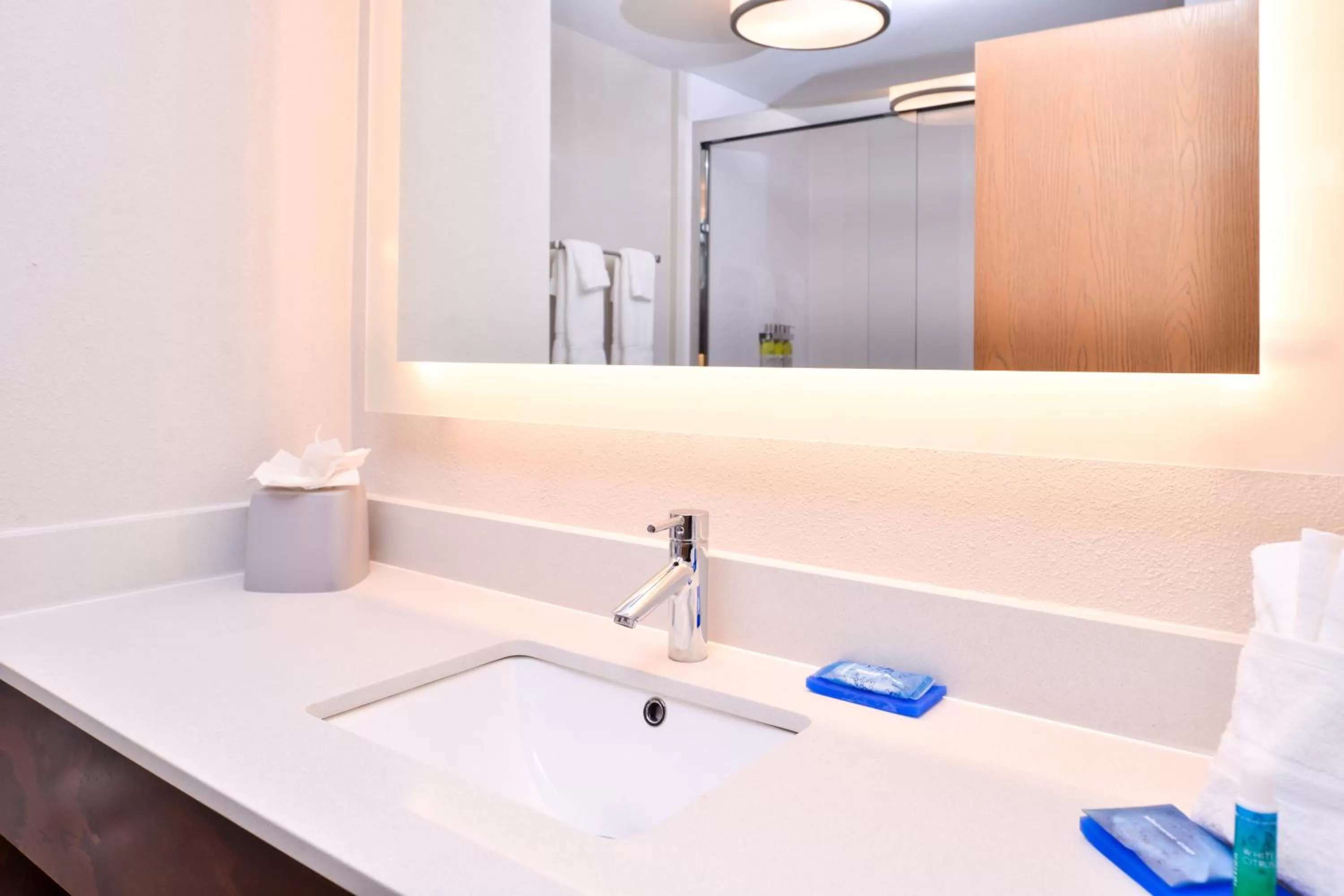 Bathroom in Holiday Inn Express Hotel & Suites Tampa-Anderson Road-Veterans Exp by IHG