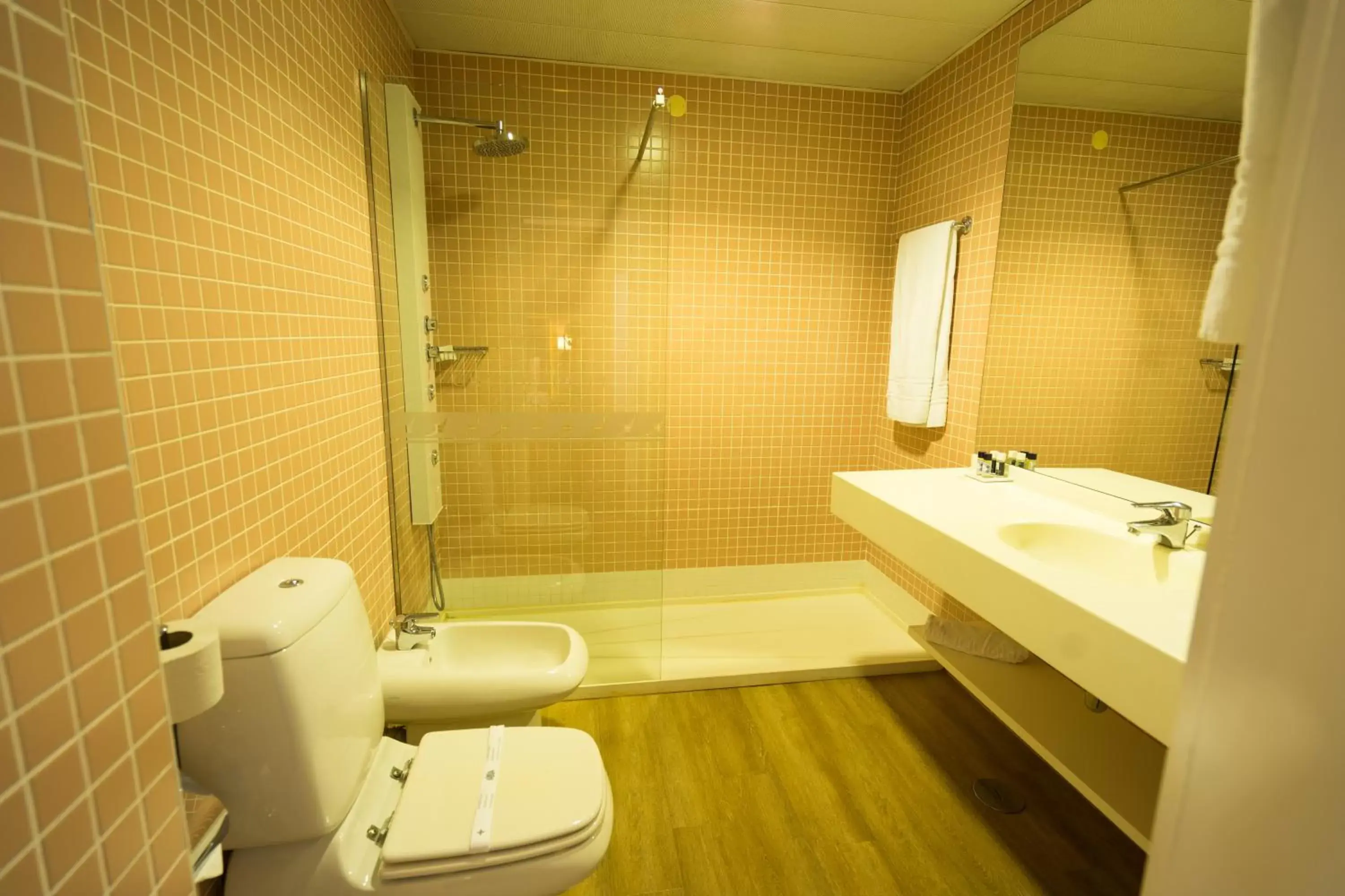 Bathroom in Grande Hotel da Povoa