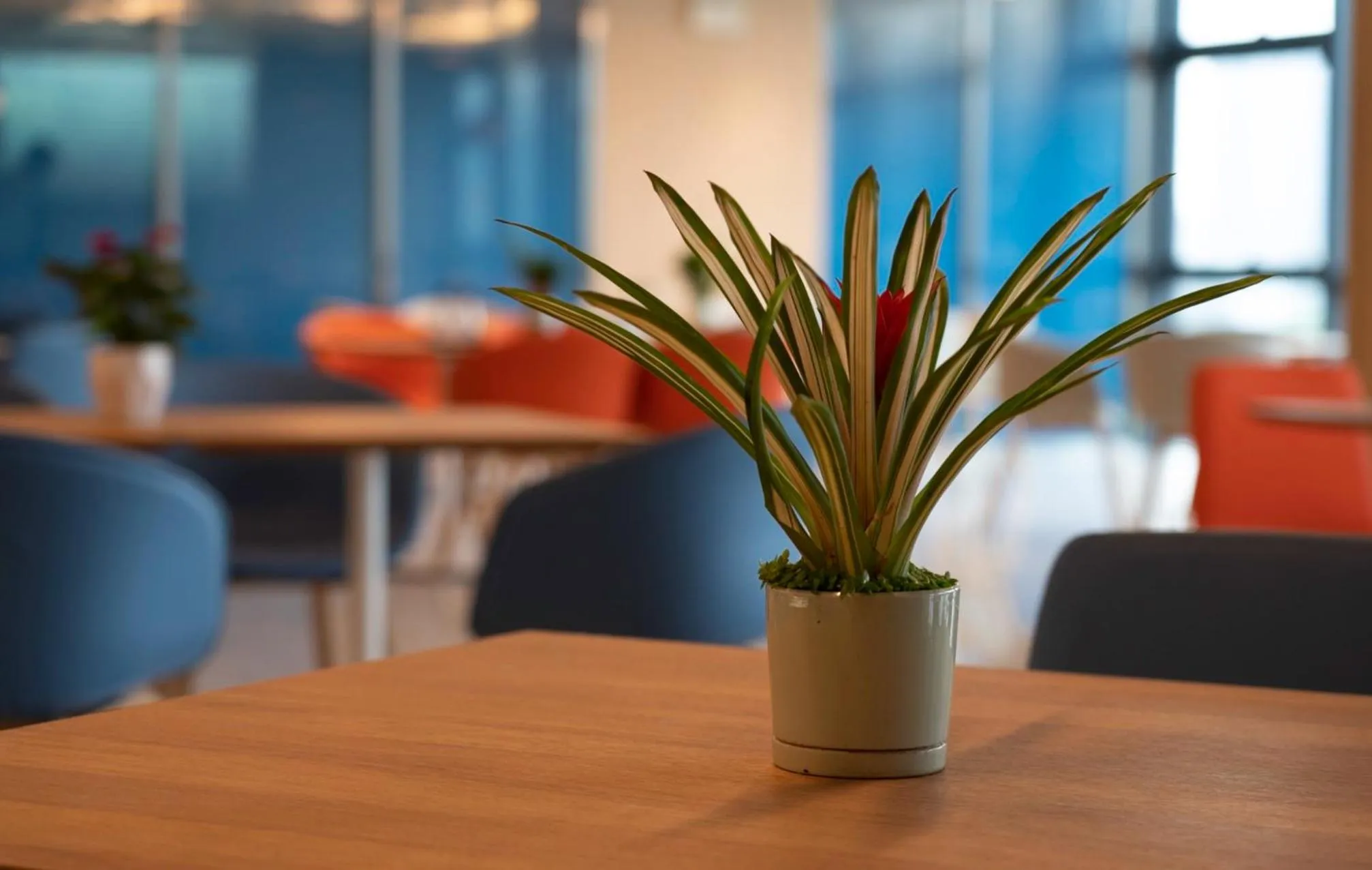 Restaurant/places to eat in Holiday Inn Express Yangjiang City Center by IHG