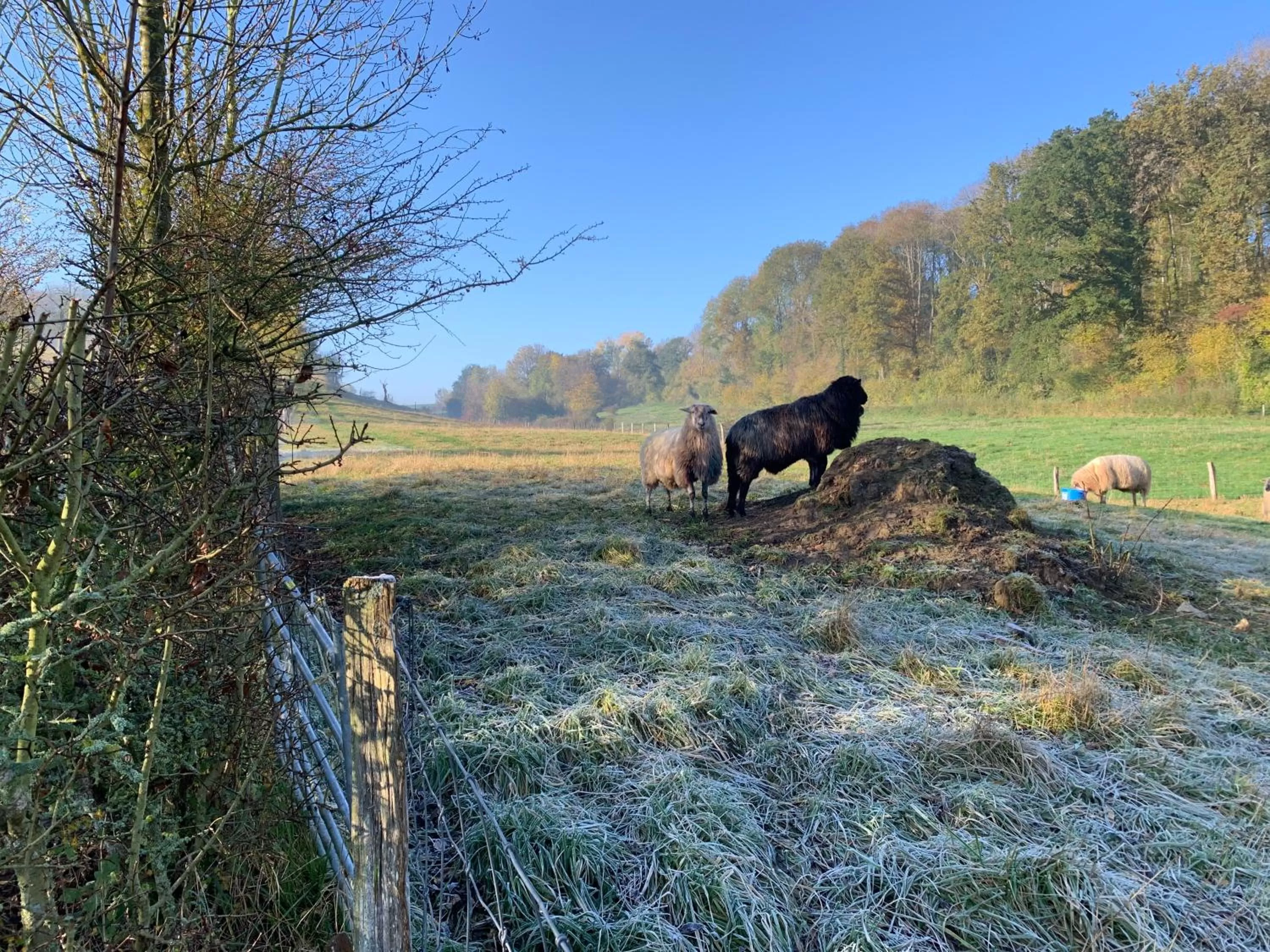 Natural landscape in Hotel Atlanta