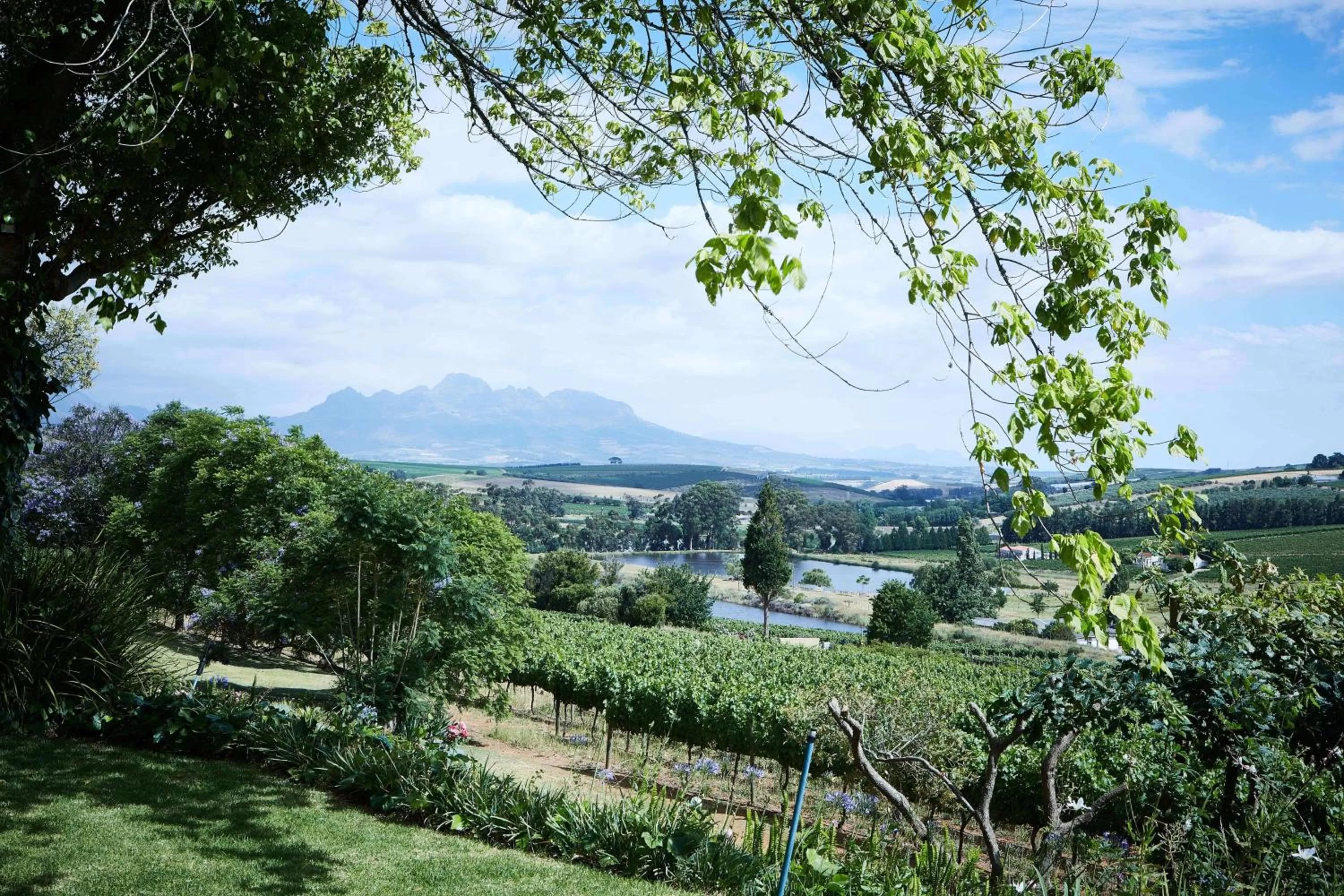 Garden in The Devon Valley Hotel
