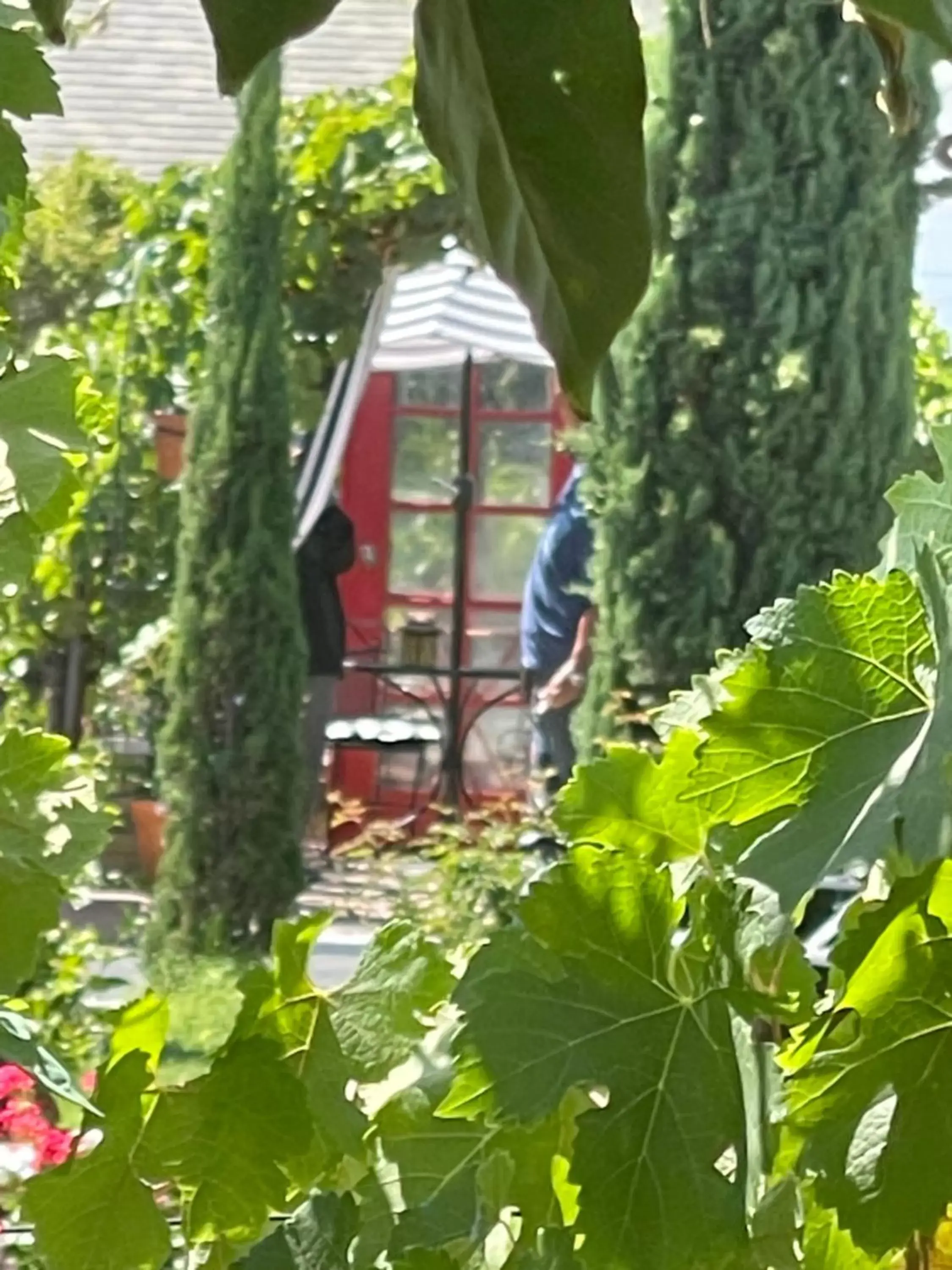 Garden in Chardonnay Lodge