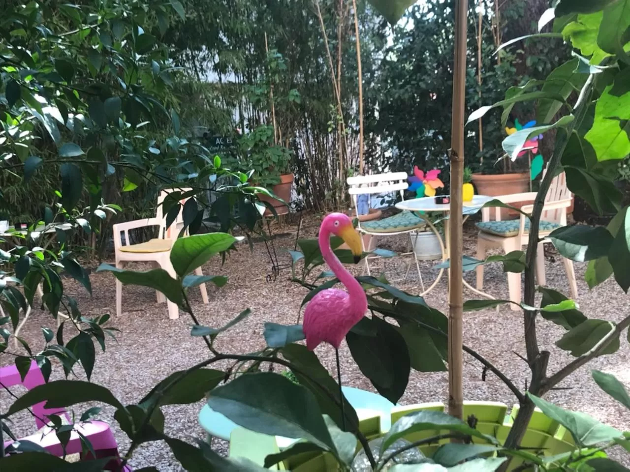 Garden in Hôtel Le Victoria