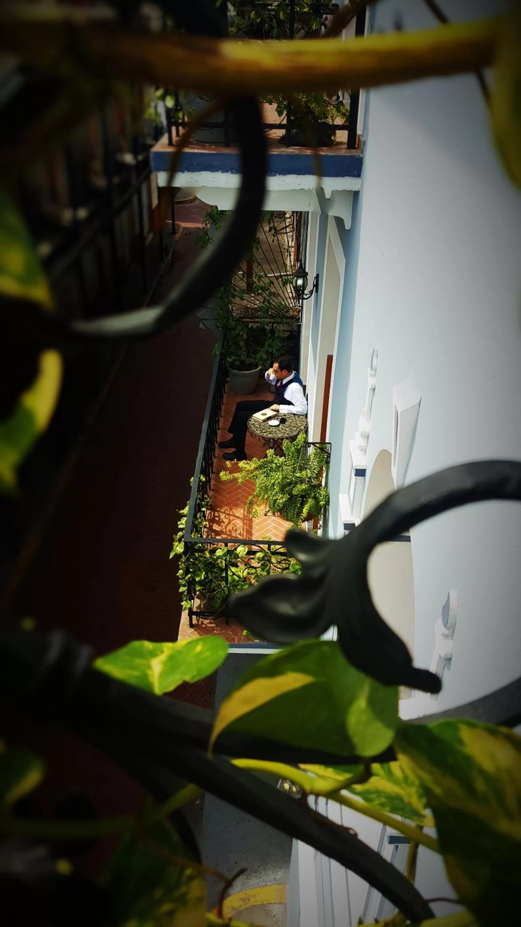 Day in La Isabela Suites