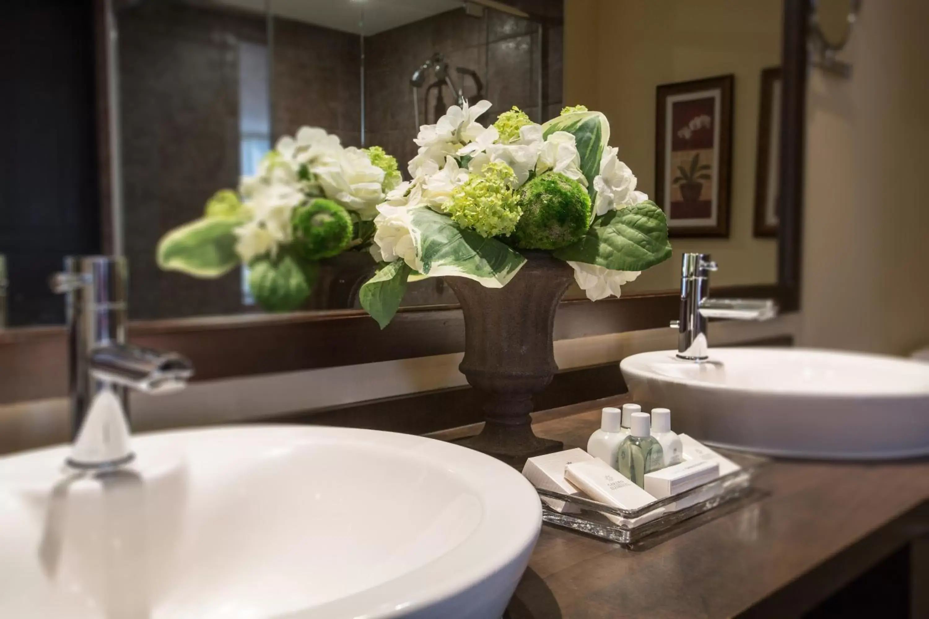 Bathroom in Hotel Vallea Bromont