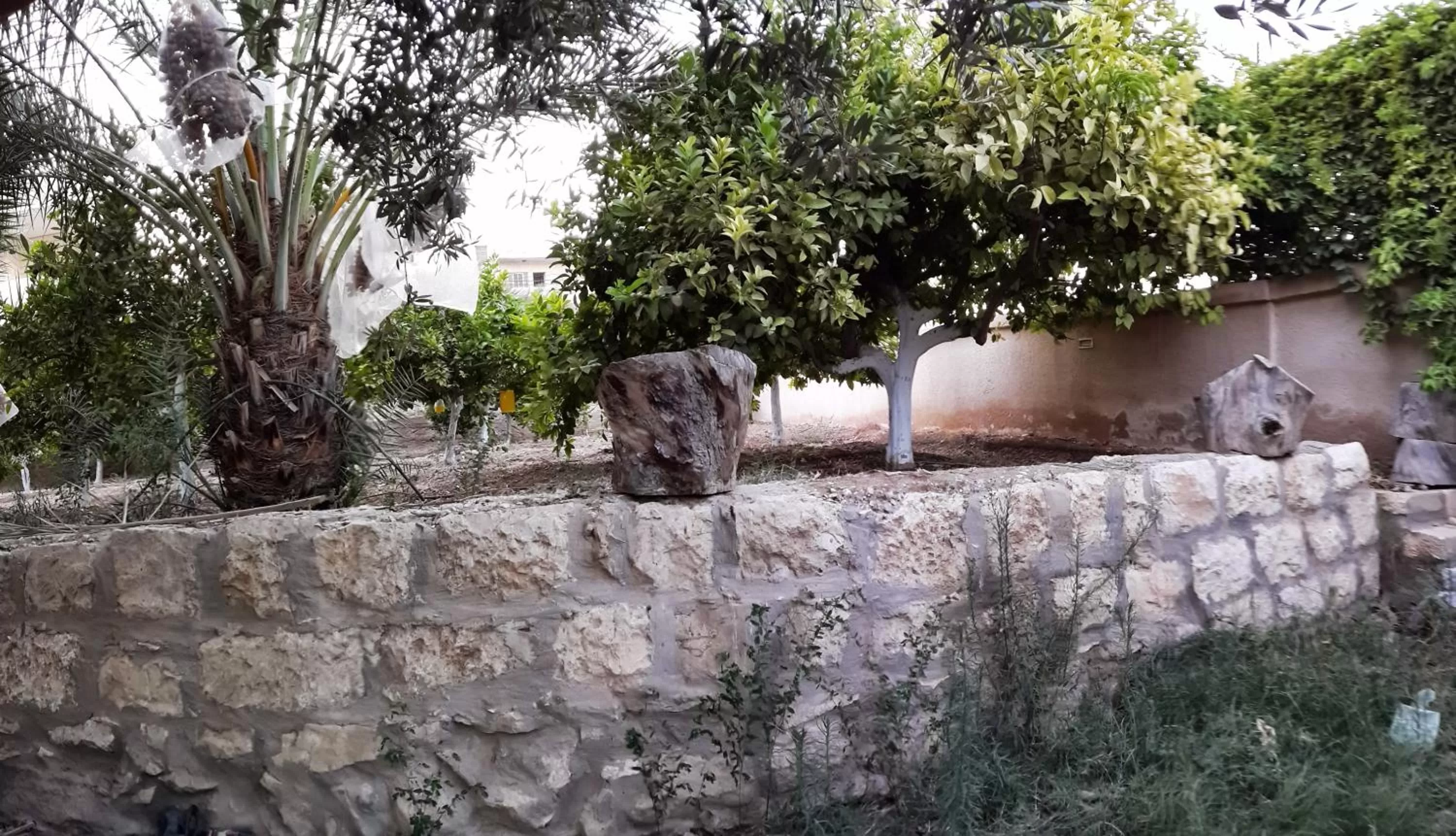 Garden in Auberg-Inn Guesthouse