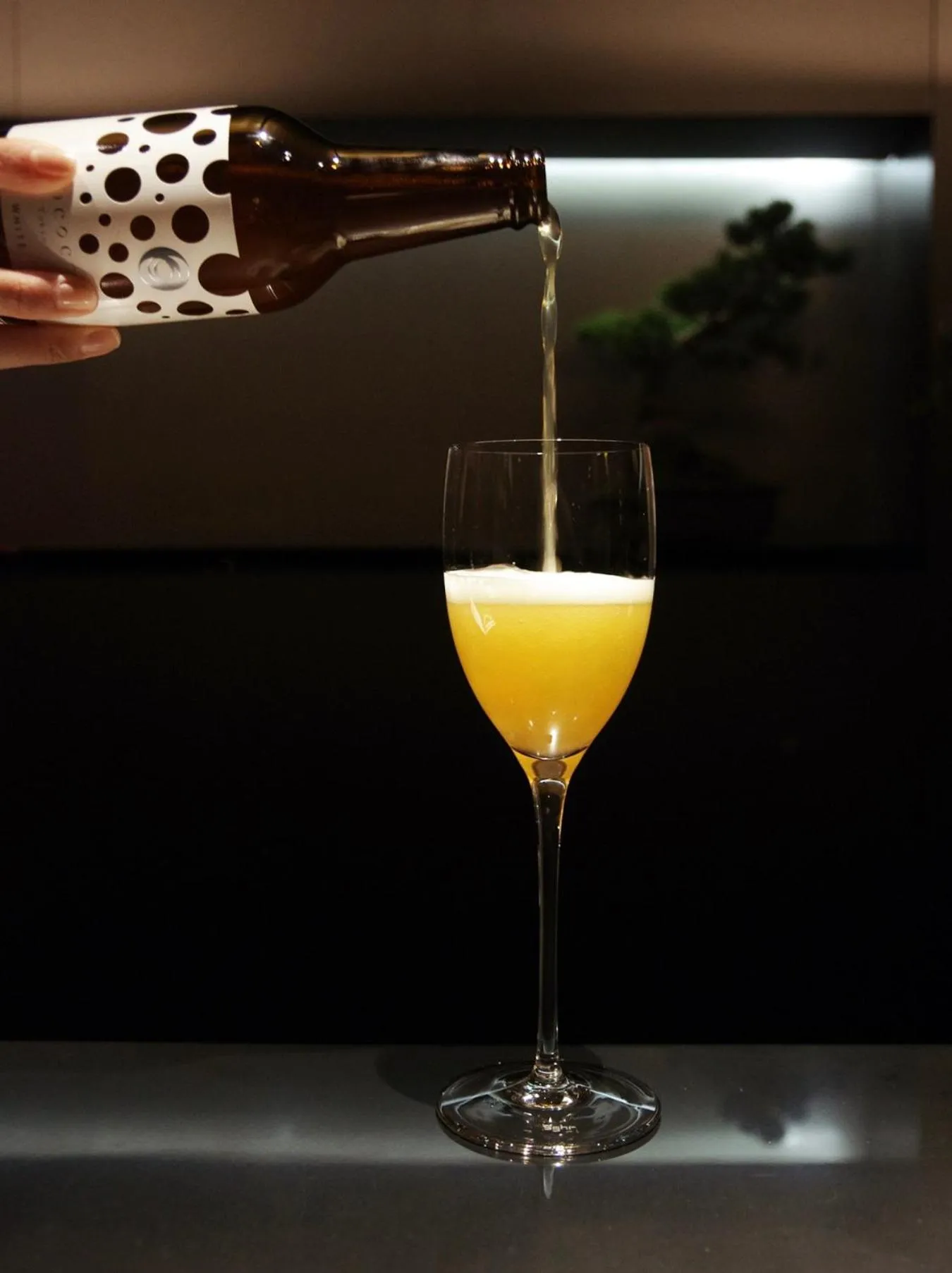 Lounge or bar in MOGANA